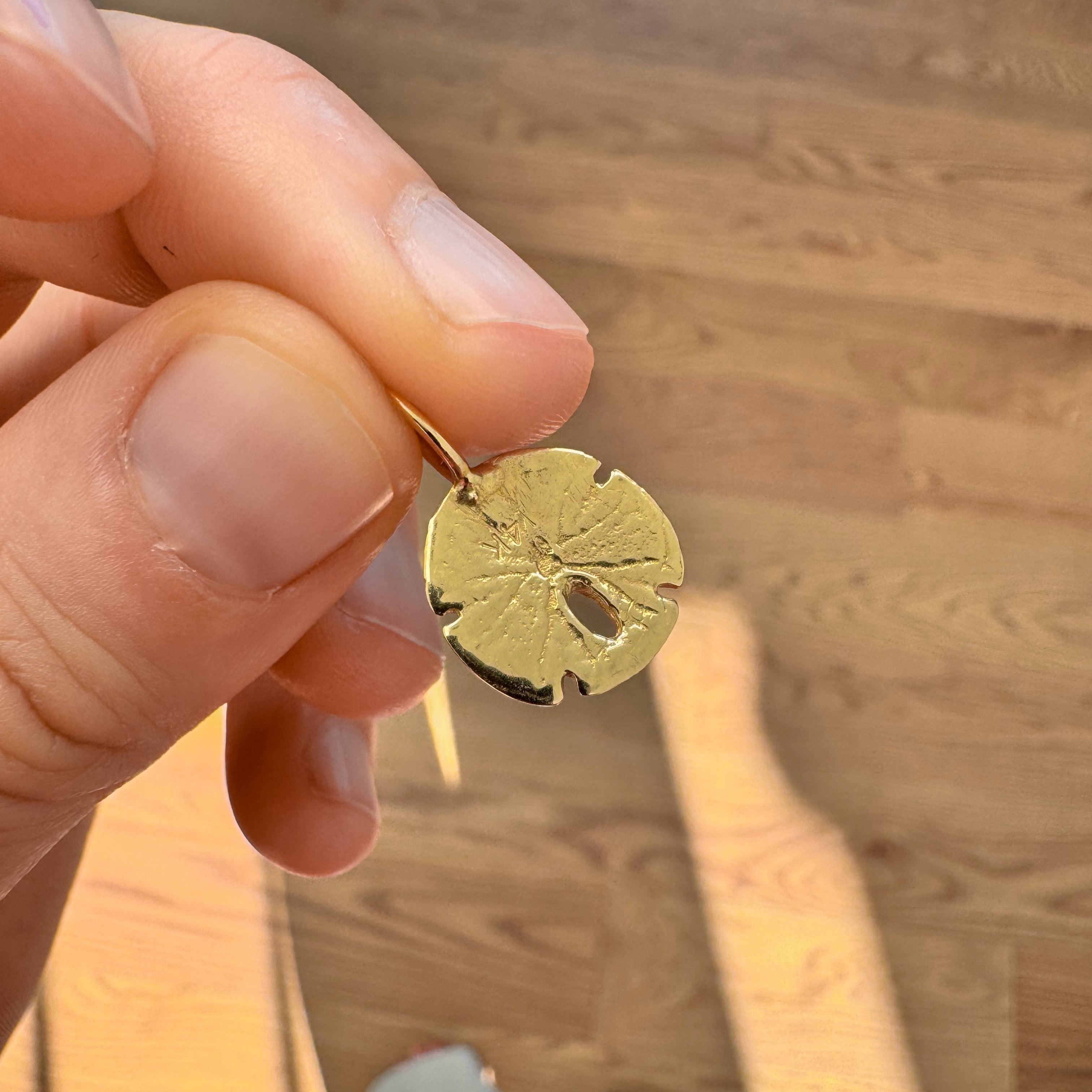 Sand Dollar Charm