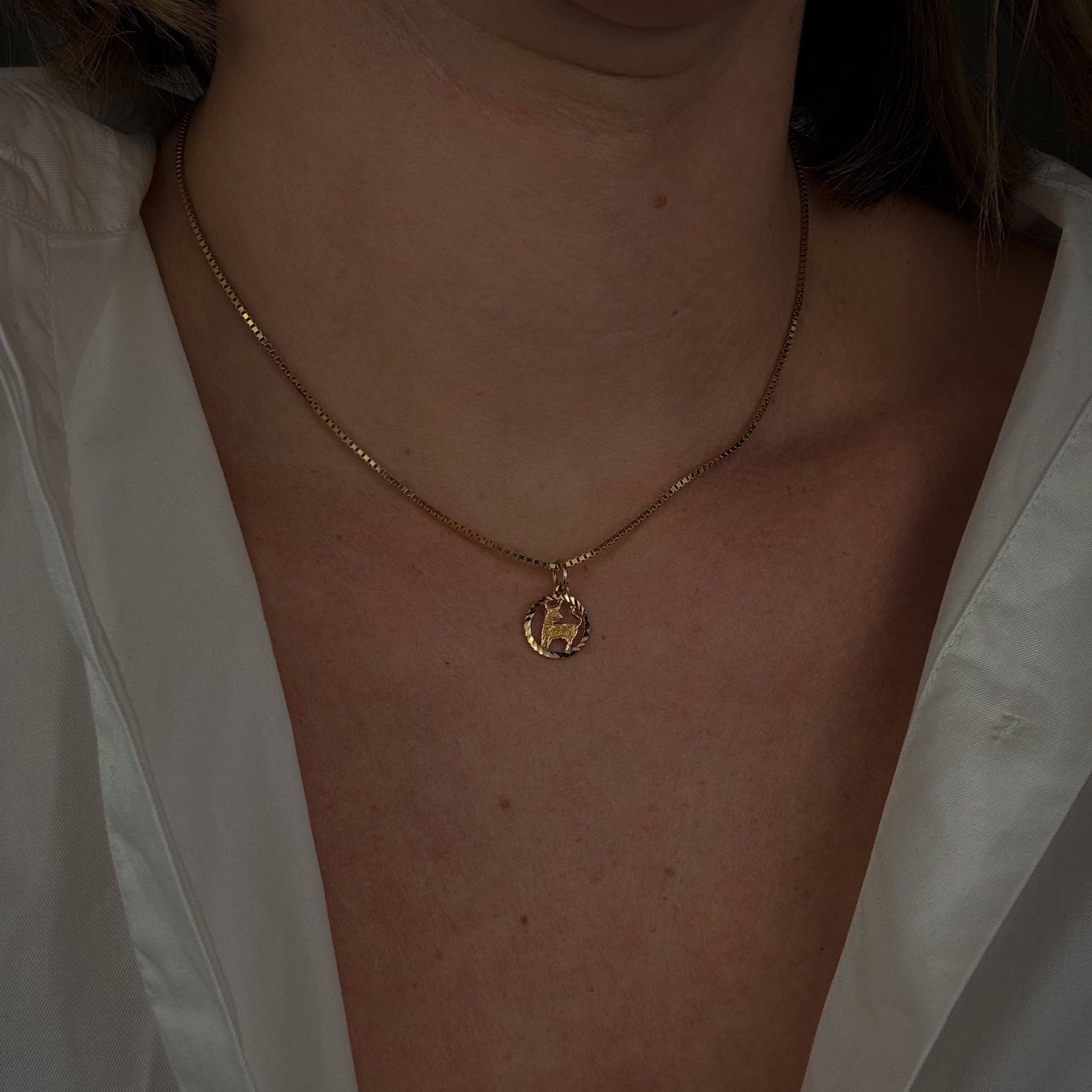 Capricorn Charm