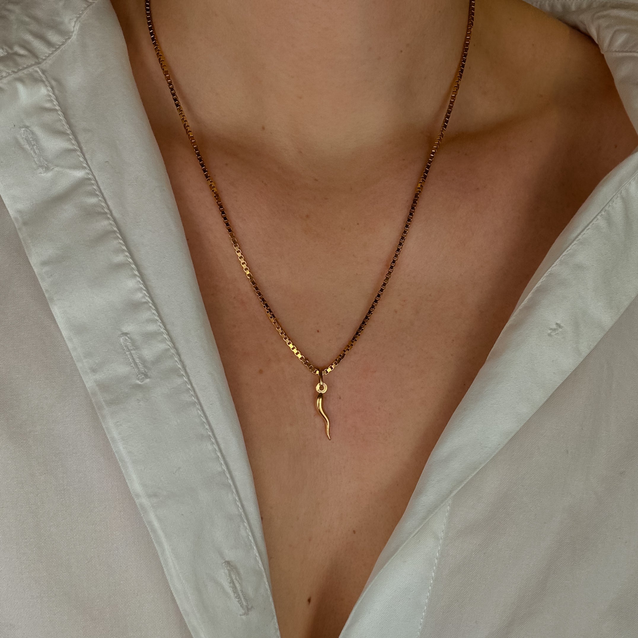 20 mm Cornicello Charm