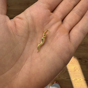 21mm Cornicello Charm