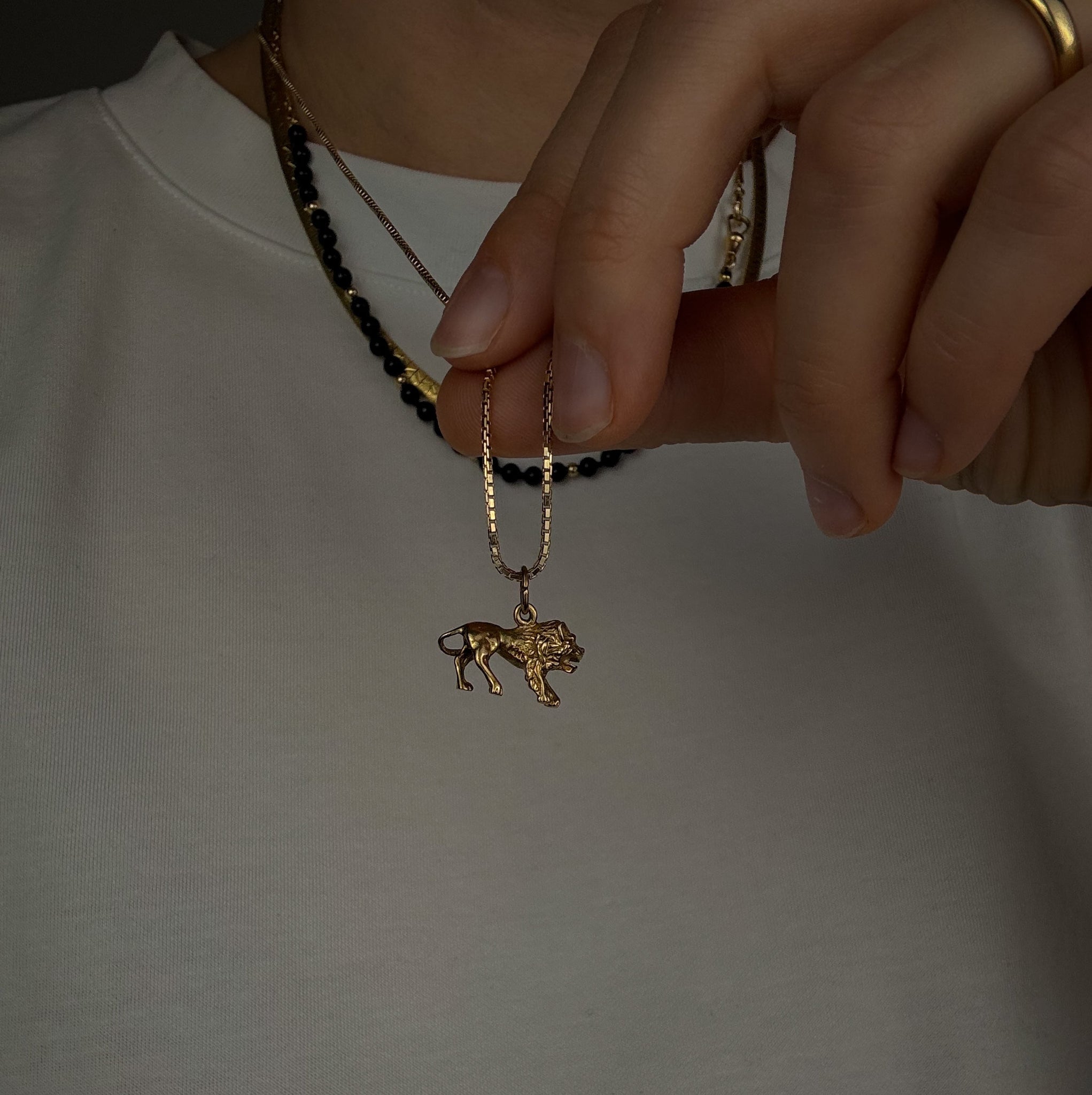 3-D Leo Charm