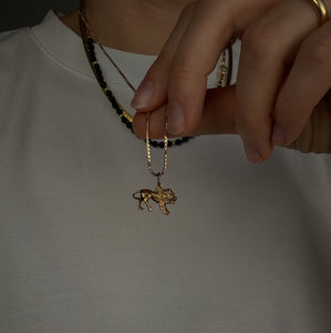 3-D Leo Charm