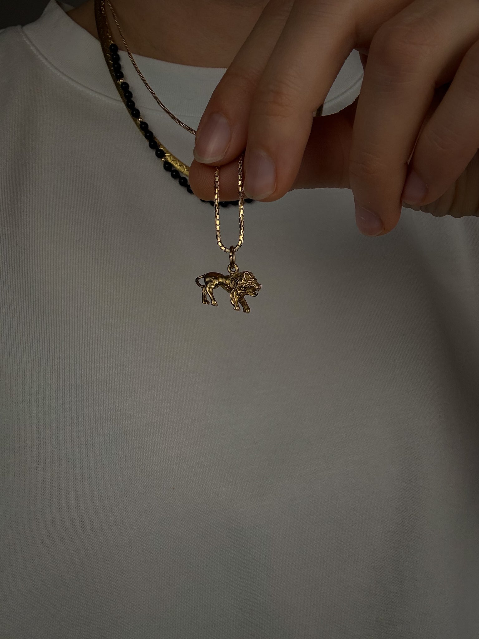 3-D Leo Charm