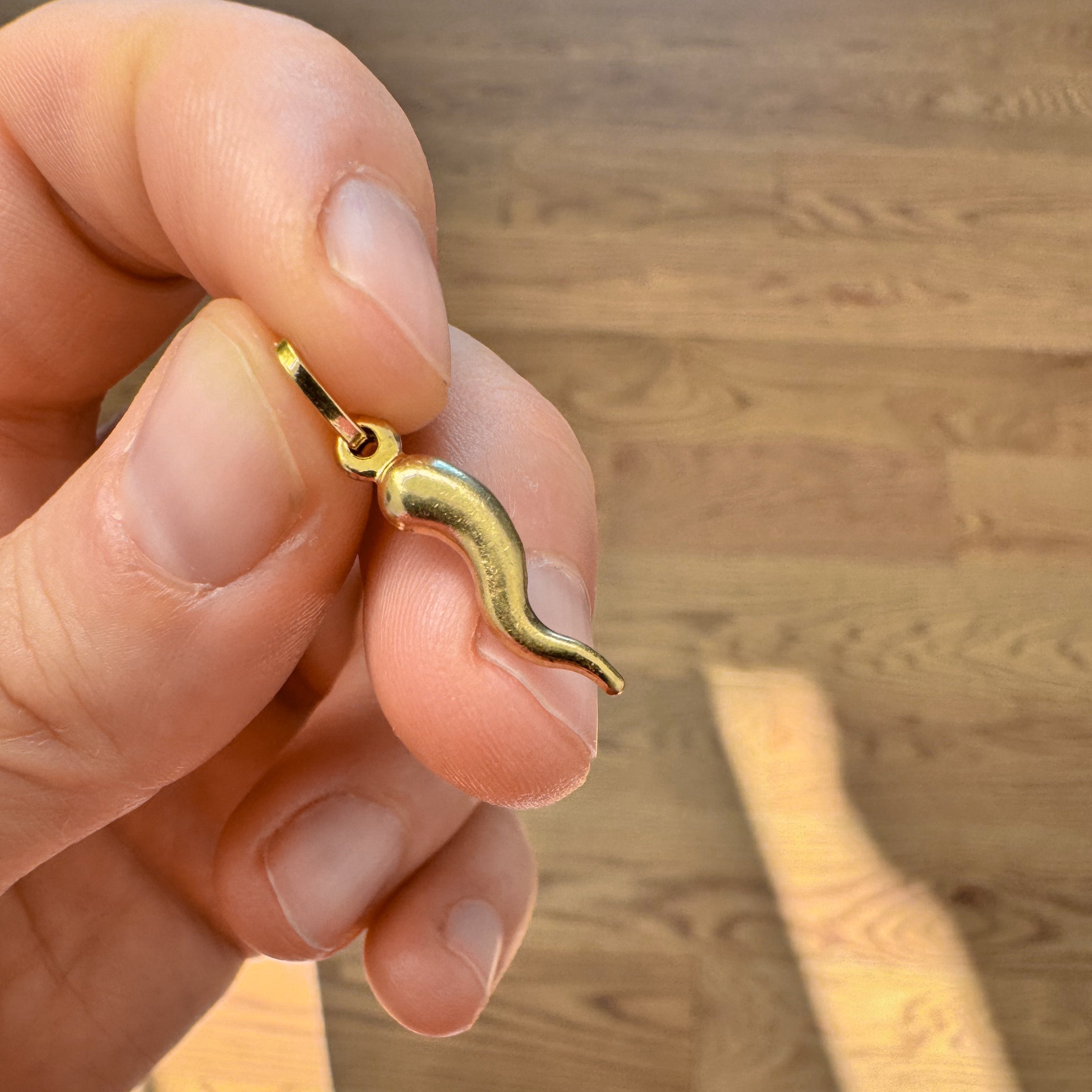 21mm Cornicello Charm