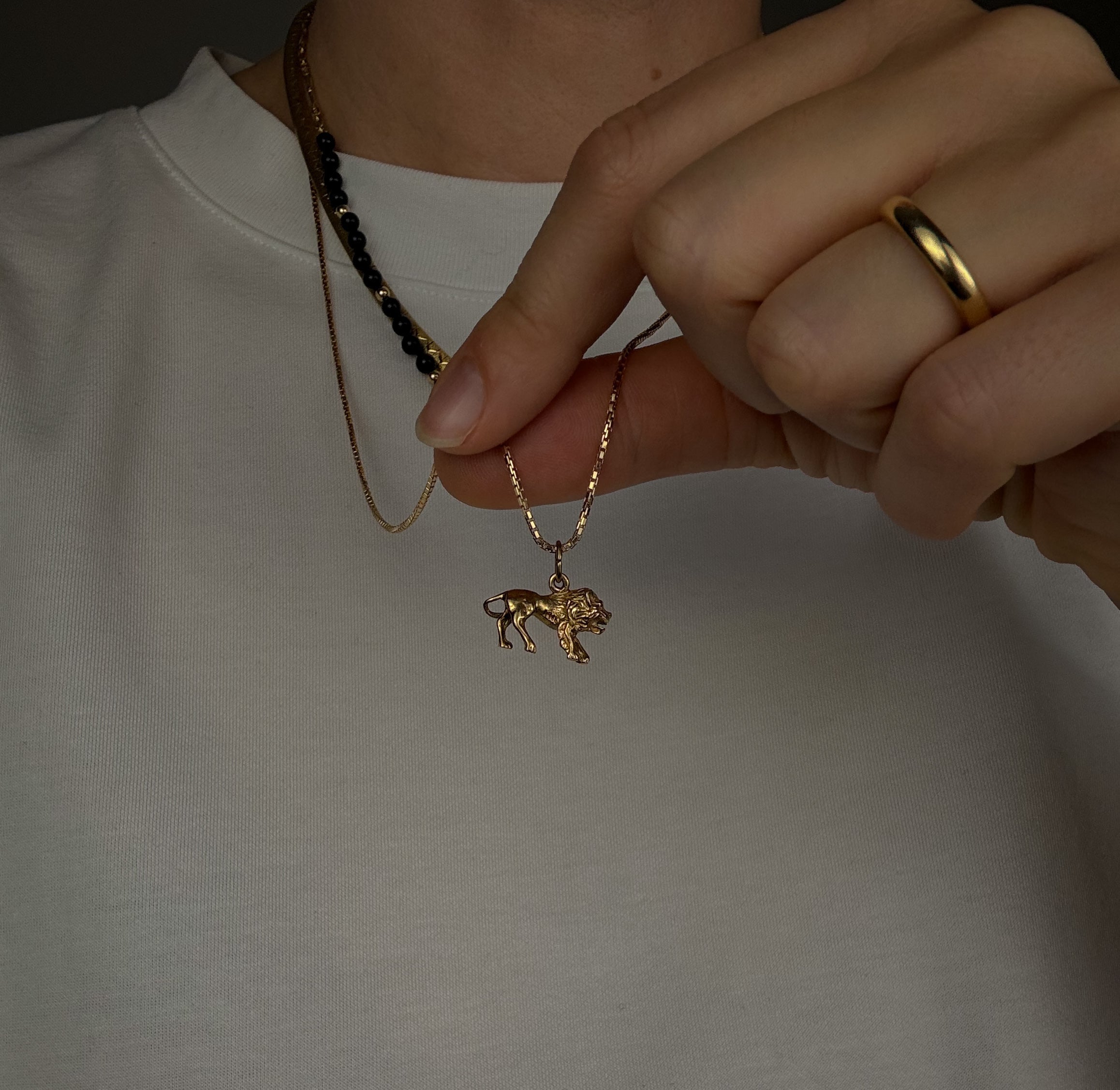 3-D Leo Charm