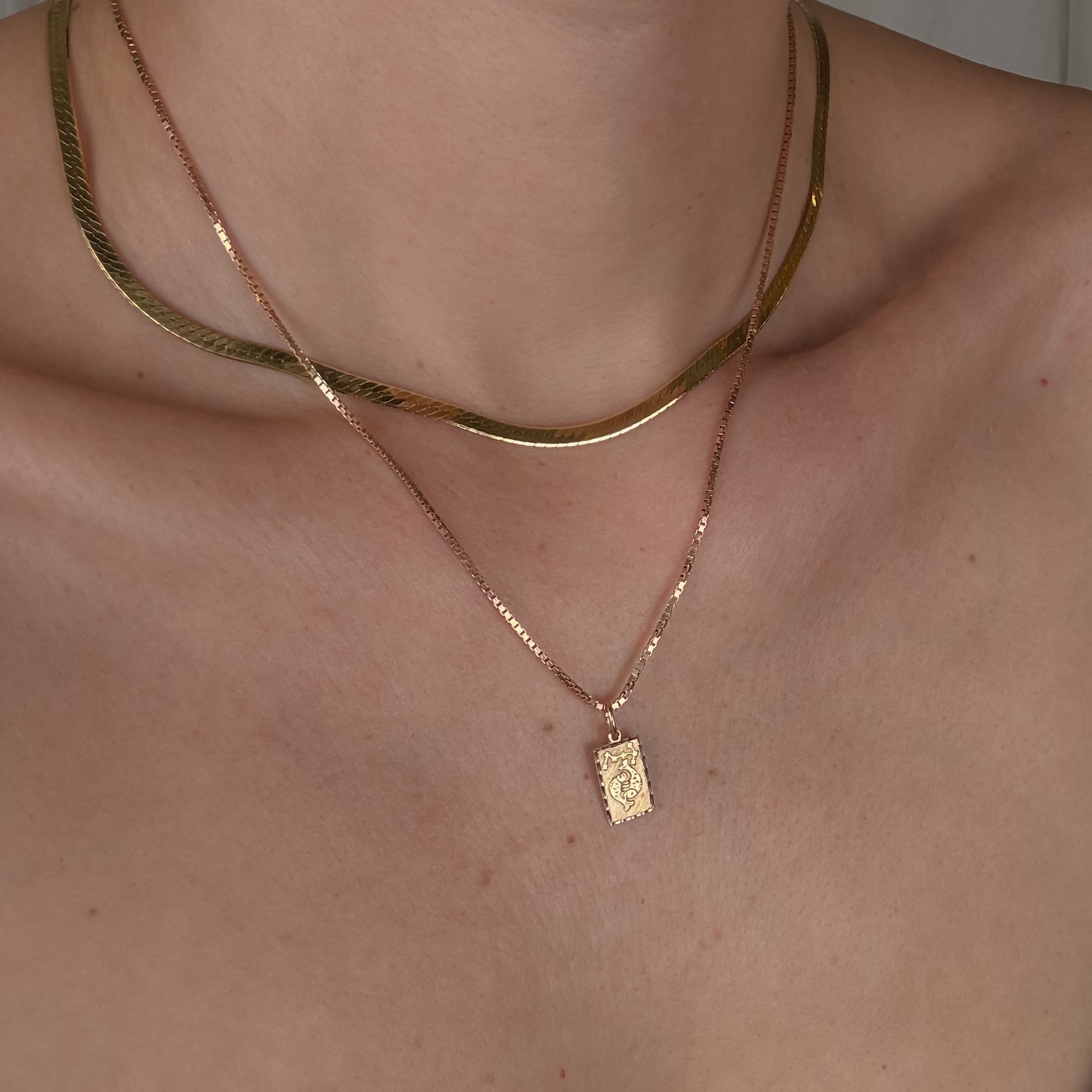 Pisces Rectangular Charm