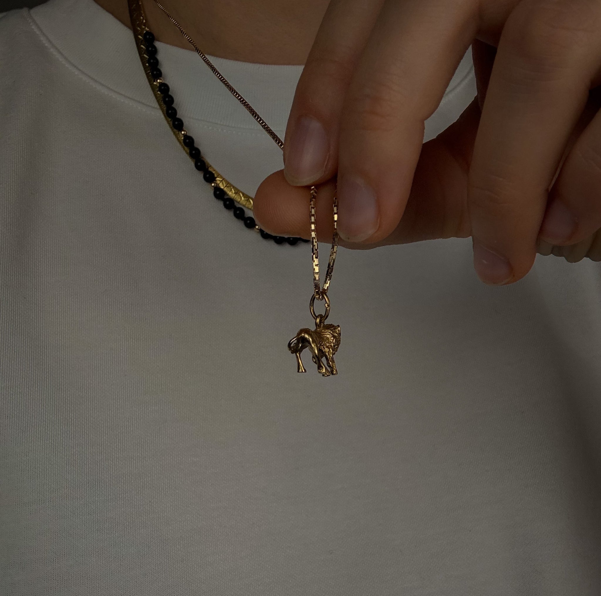 3-D Leo Charm