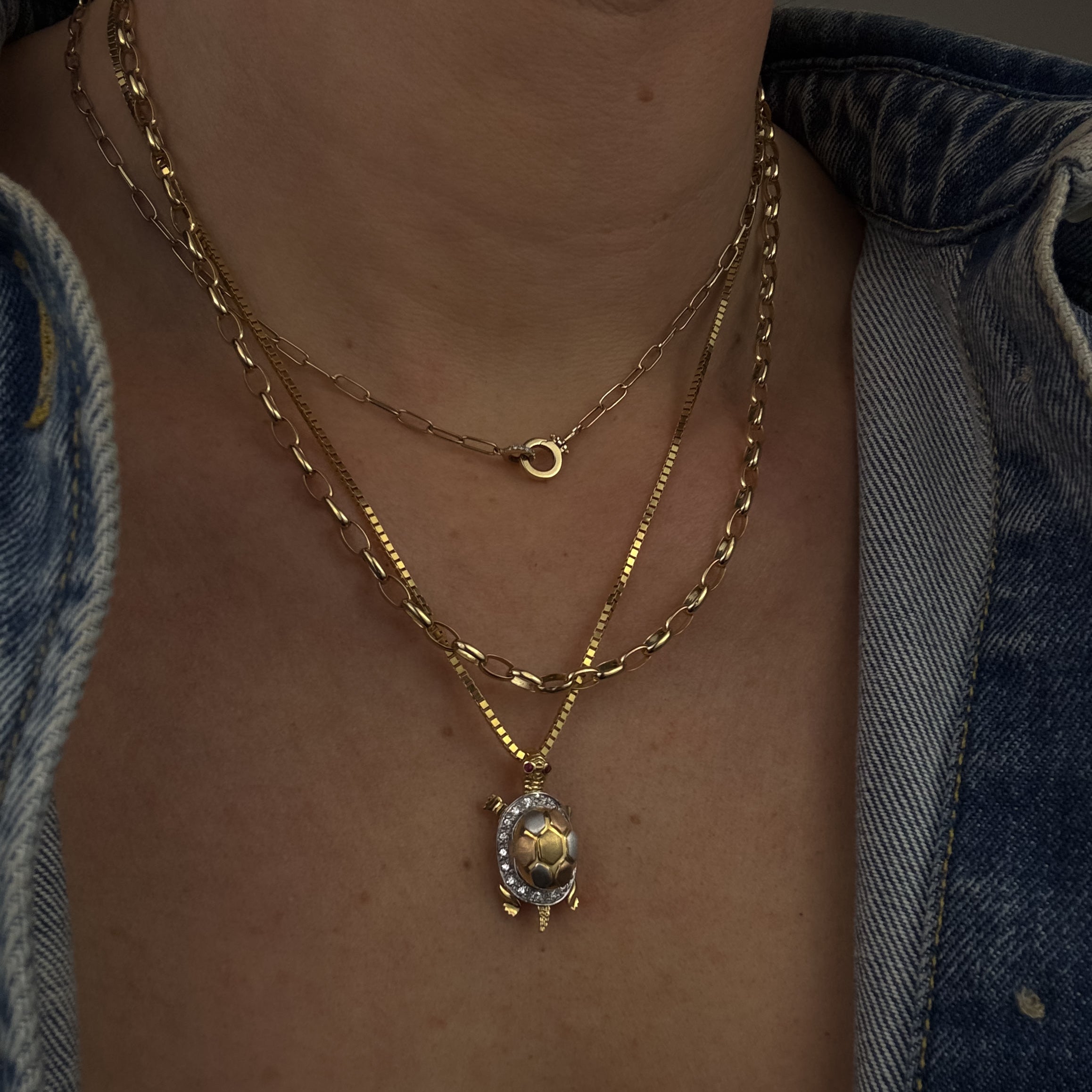 Diamond and Ruby Tortoise