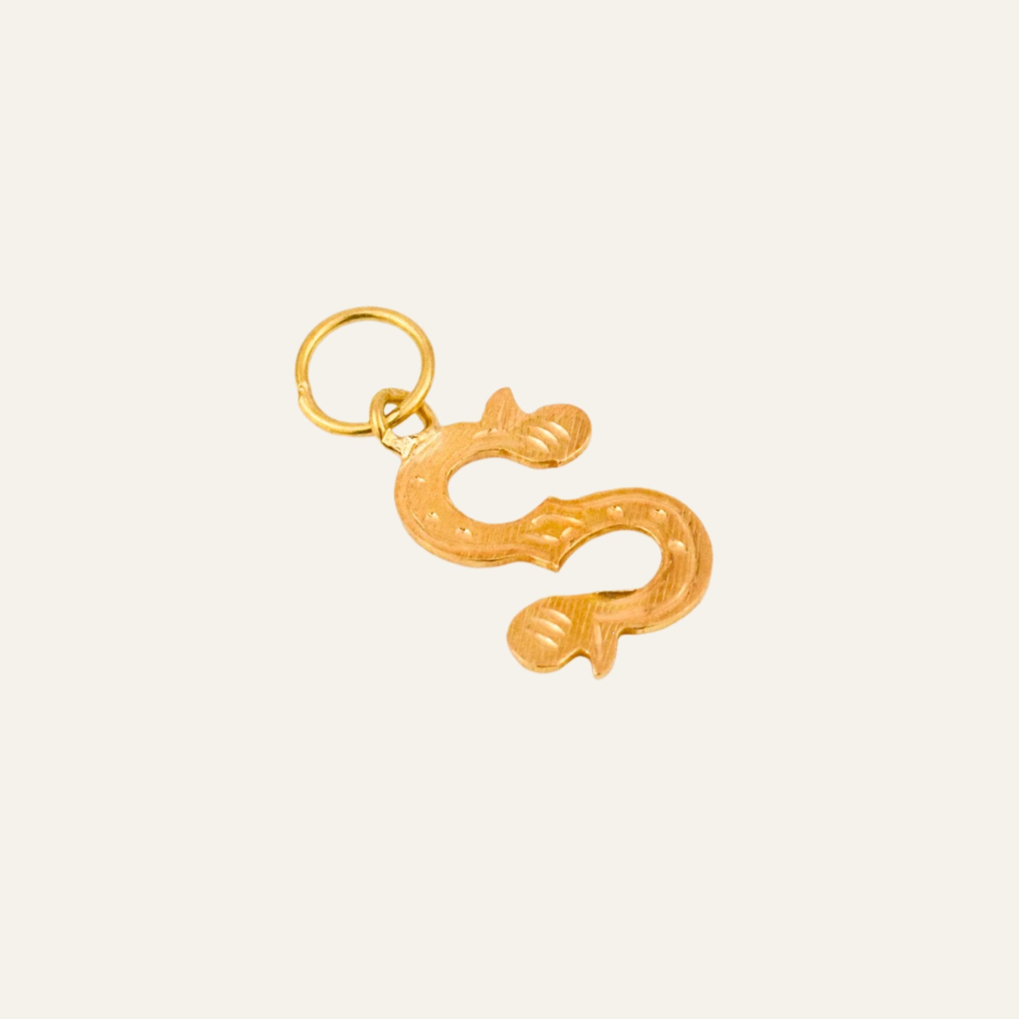 'S' Letter Charm