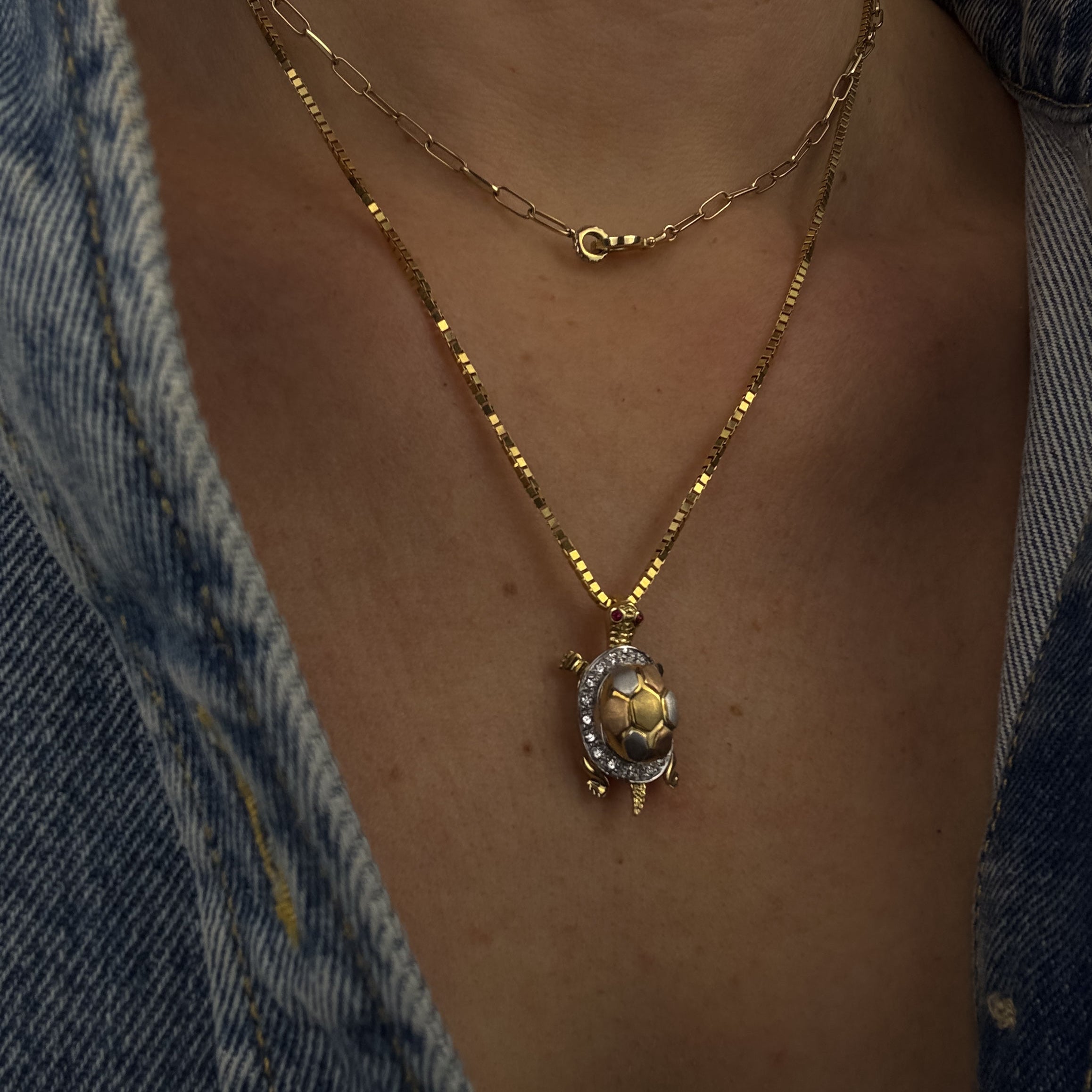 Diamond and Ruby Tortoise
