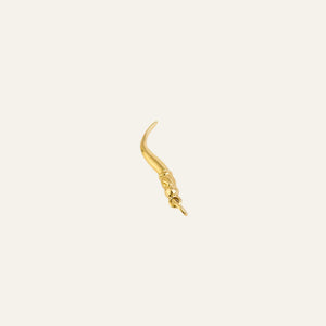 Hook Charm