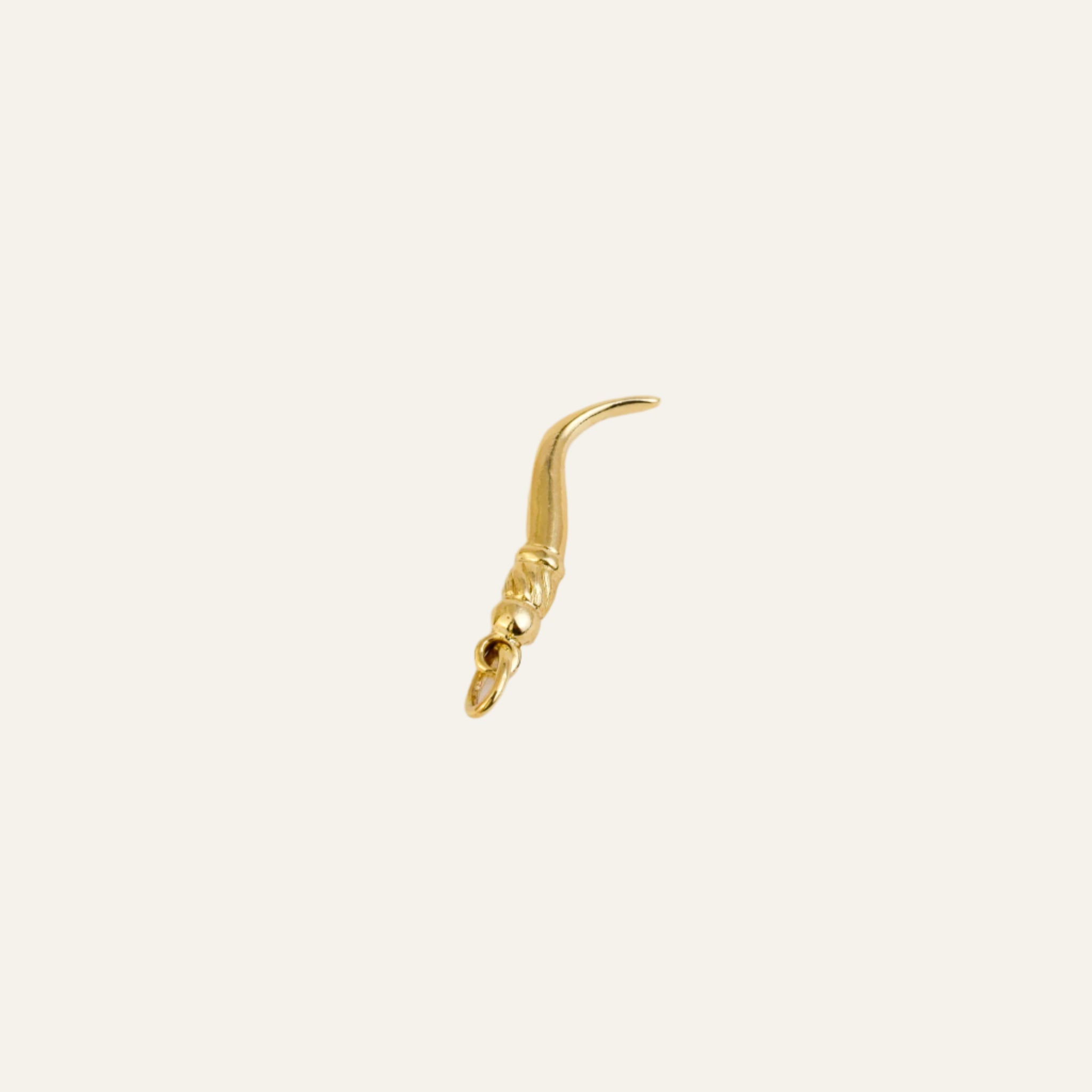 Hook Charm
