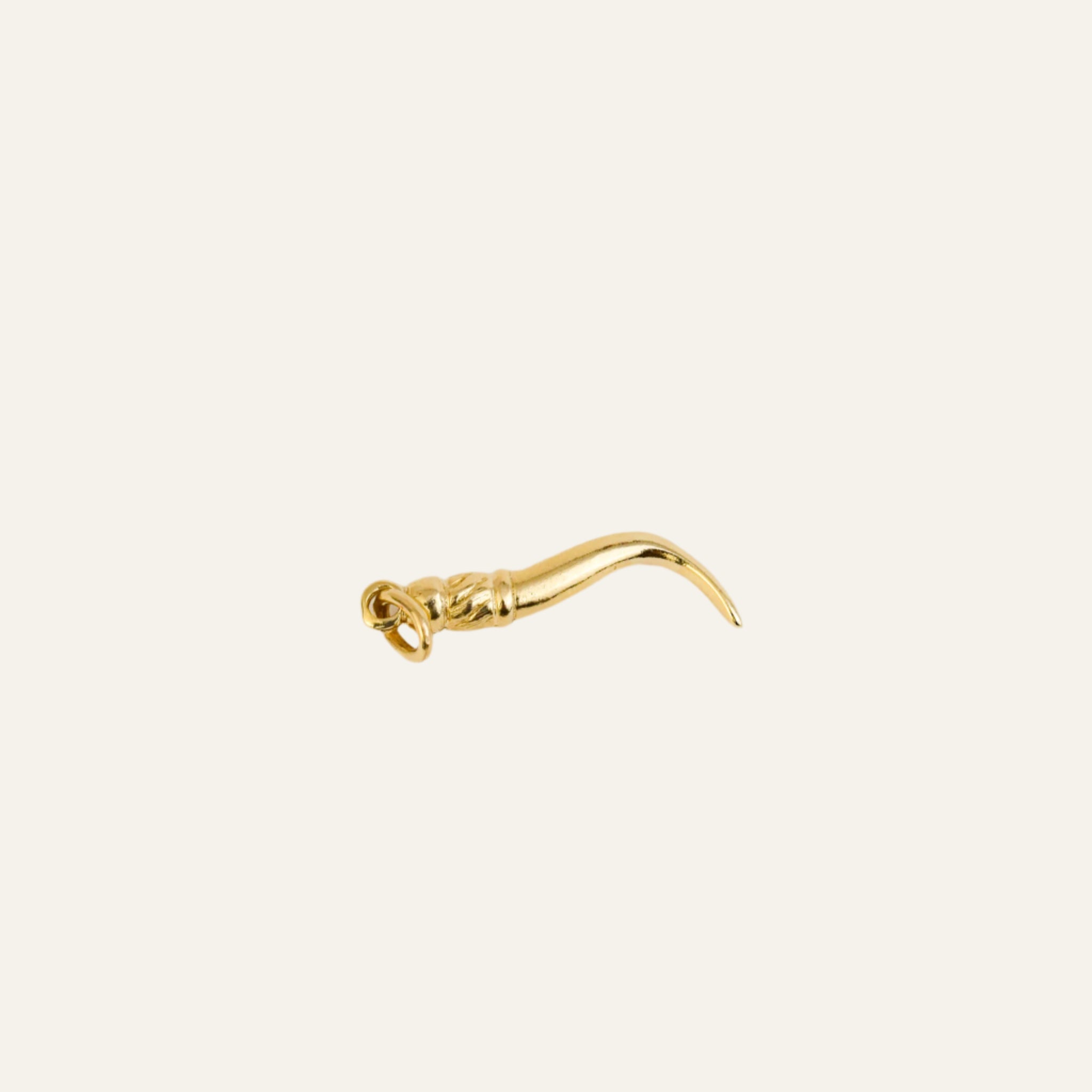Hook Charm