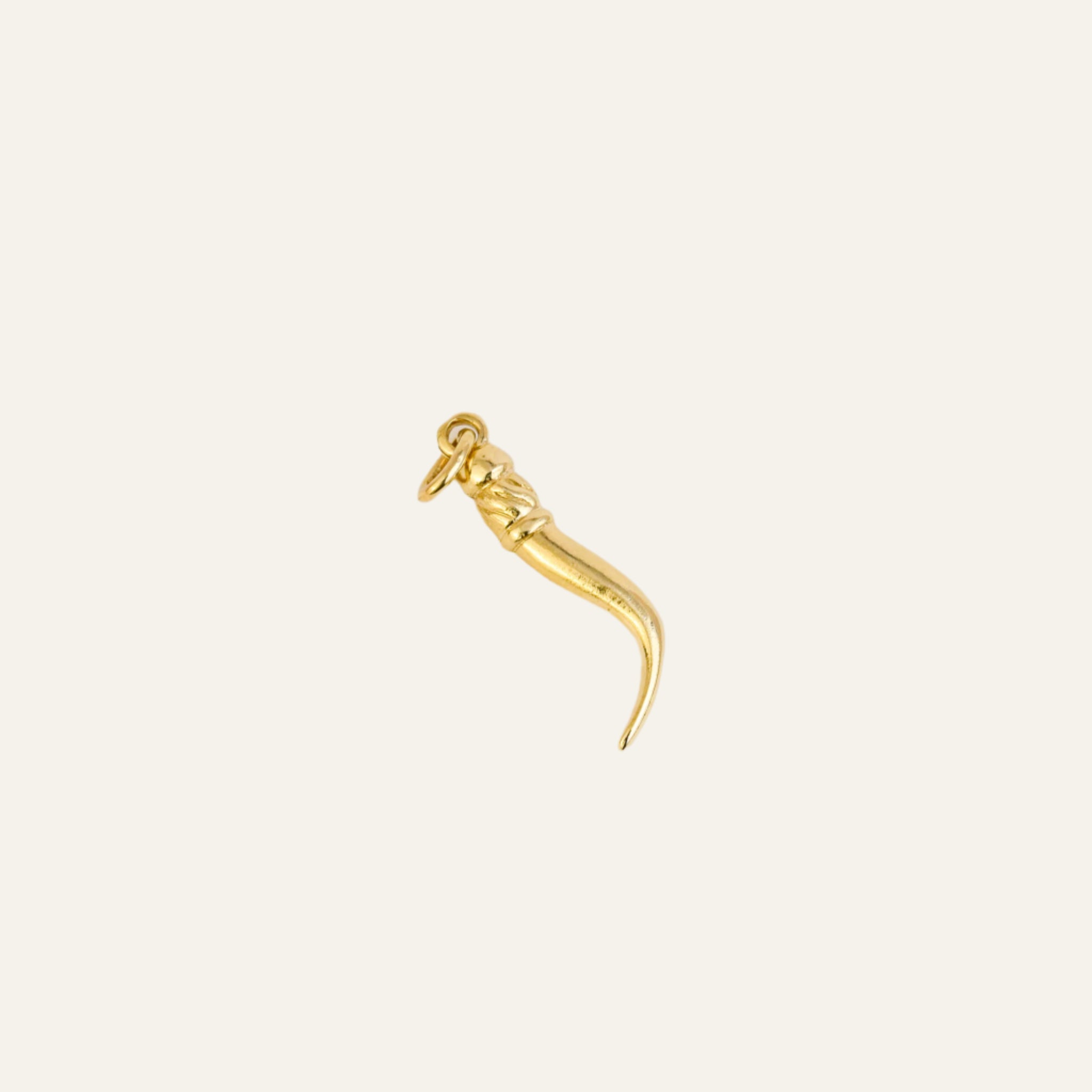 Hook Charm