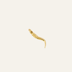 Hook Charm