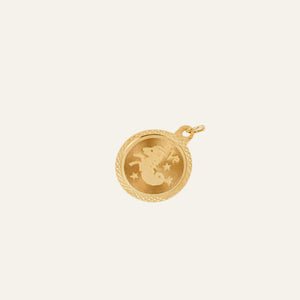 Capricorn Zodiac Charm