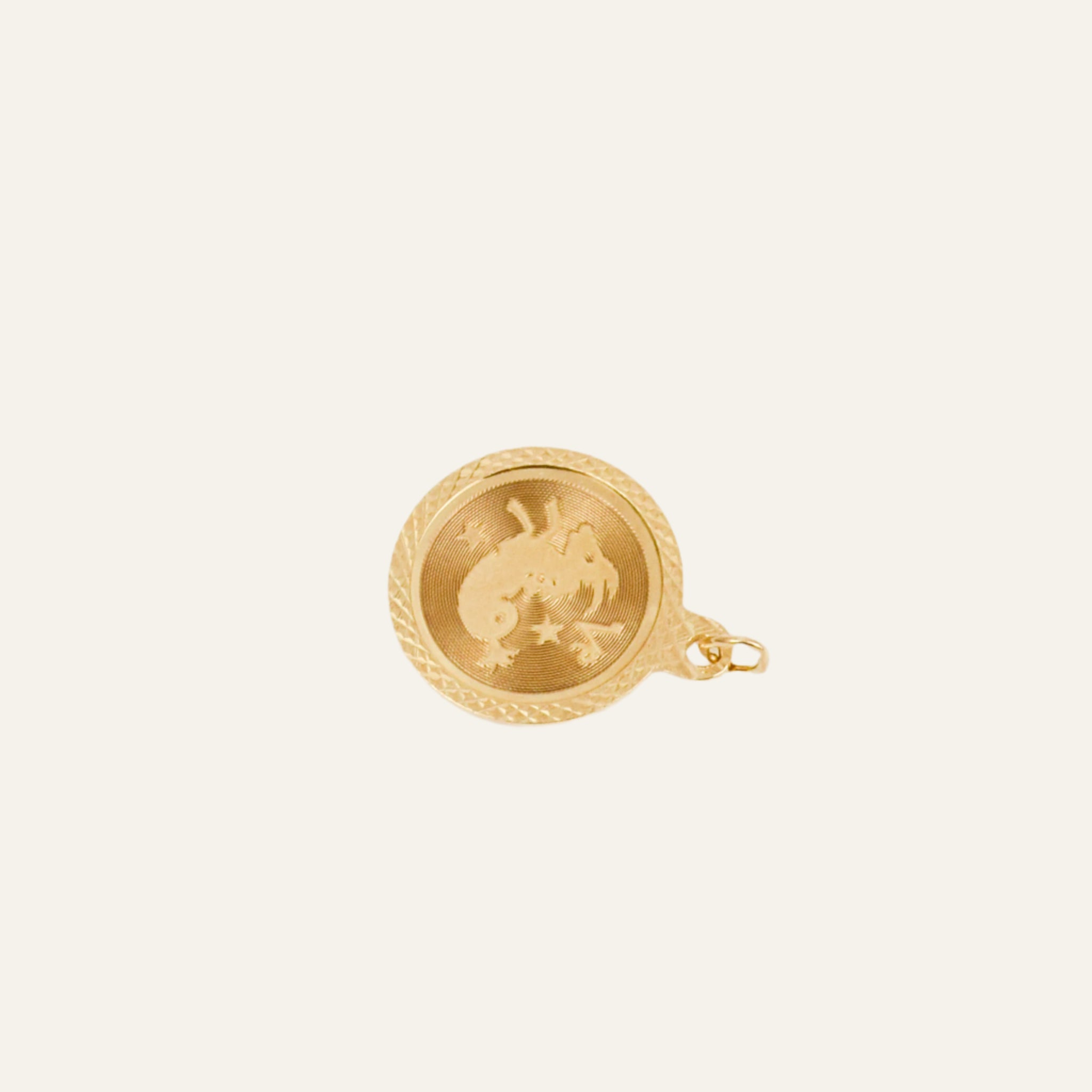 Capricorn Zodiac Charm