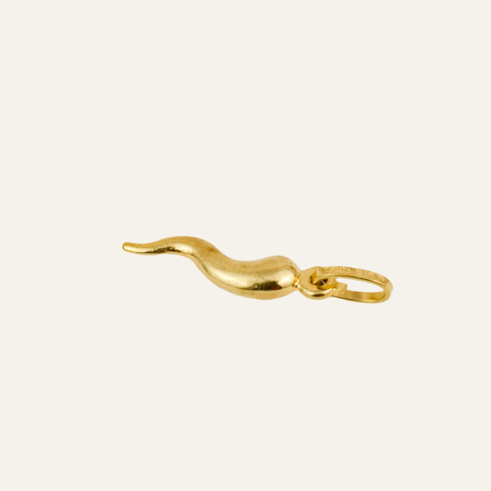 21mm Cornicello Charm