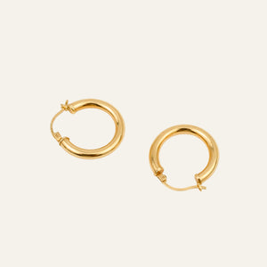 20.8 Classic Hoops