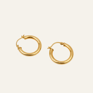 20.8 Classic Hoops