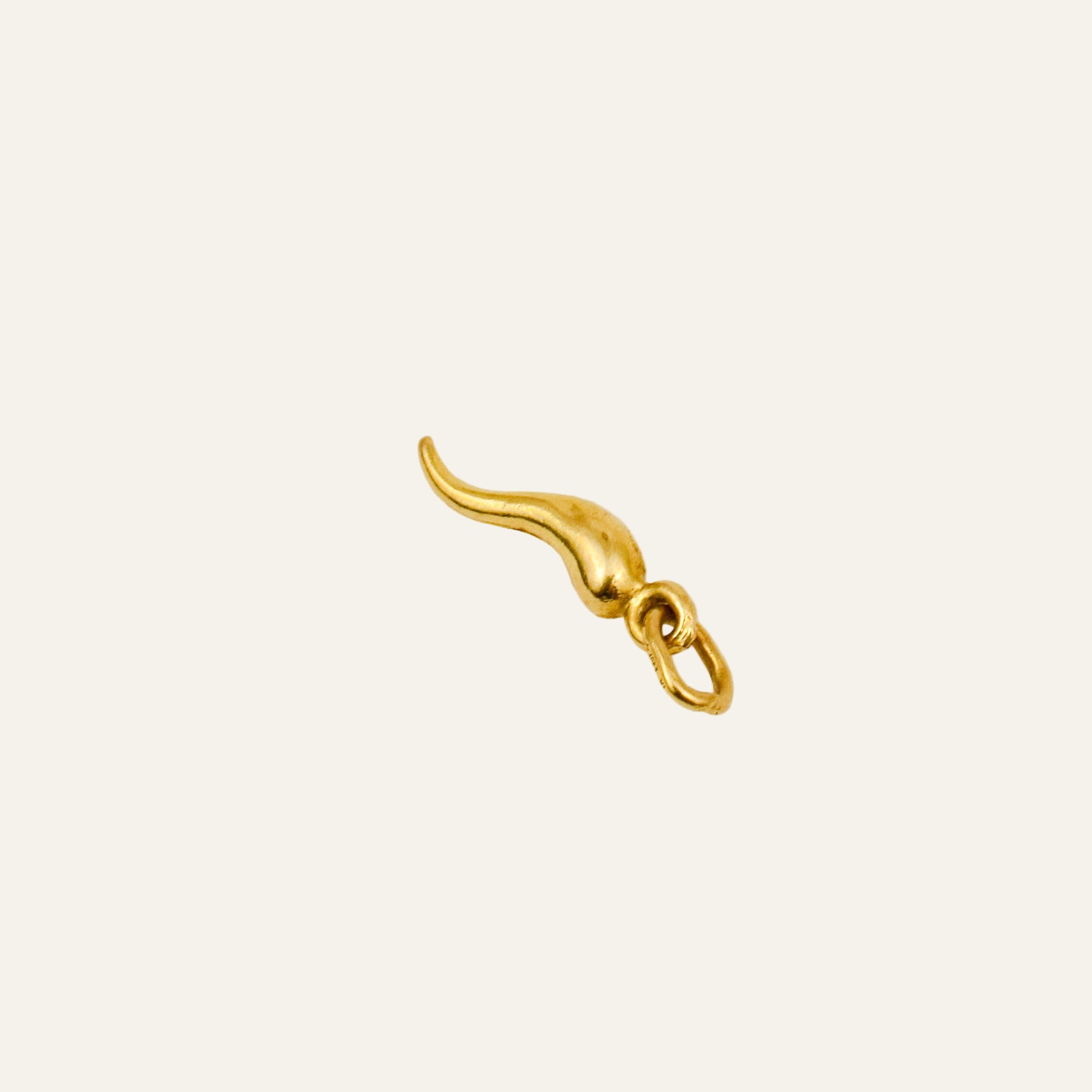 Cornicello Charm