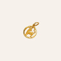 Capricorn Charm