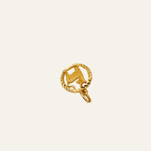 Capricorn Charm