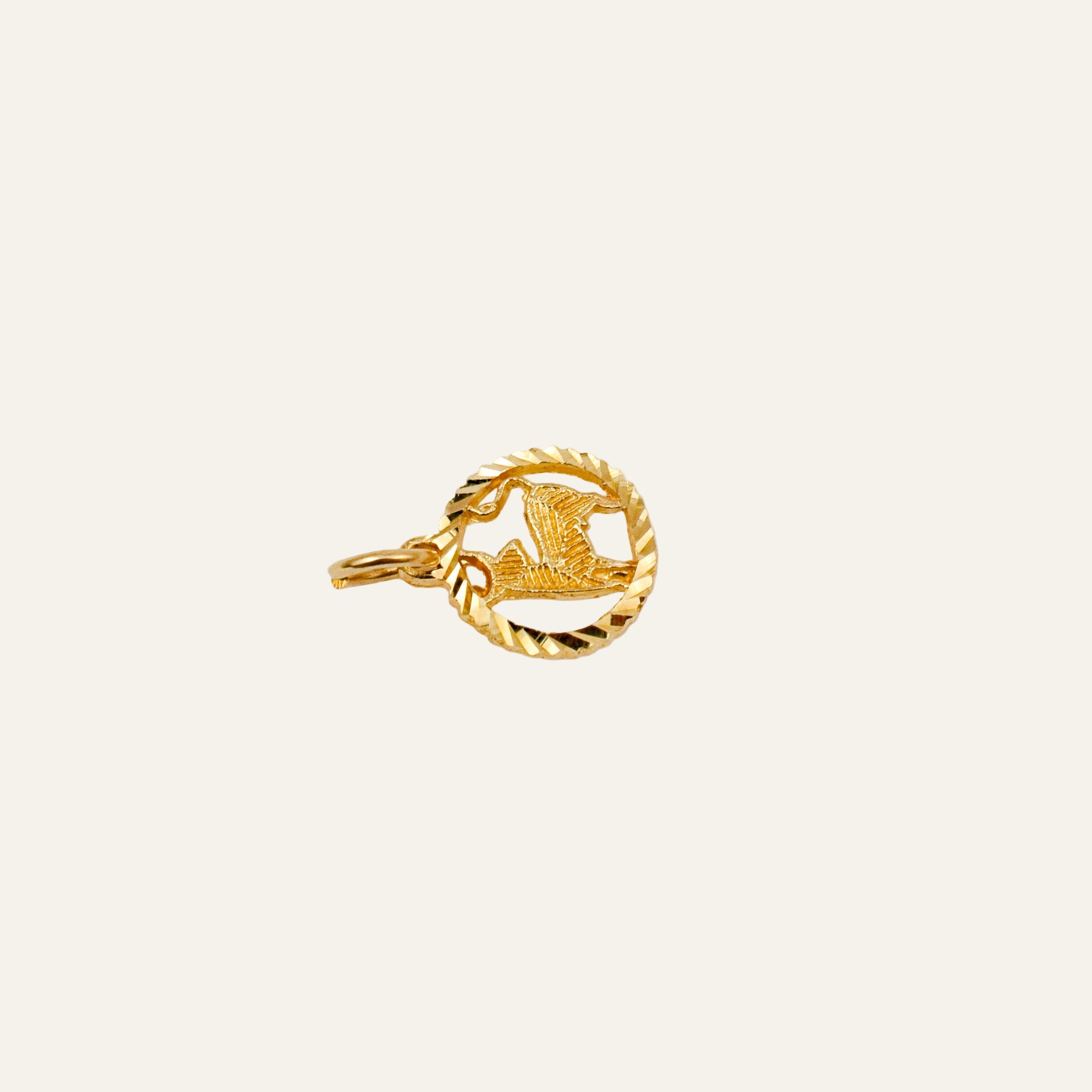 Capricorn Charm