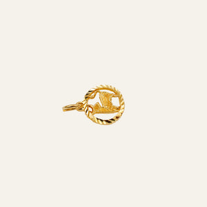 Capricorn Charm