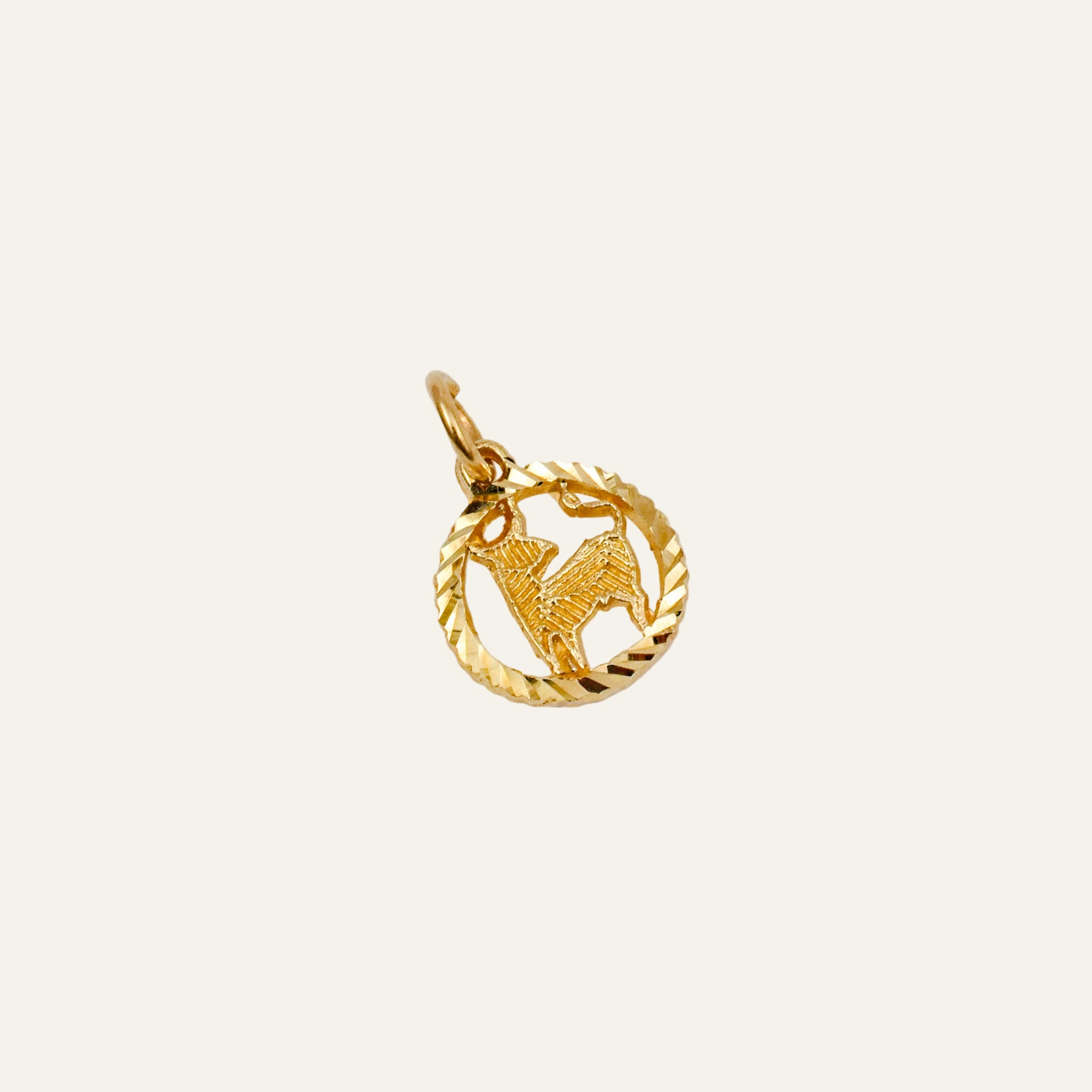 Capricorn Charm