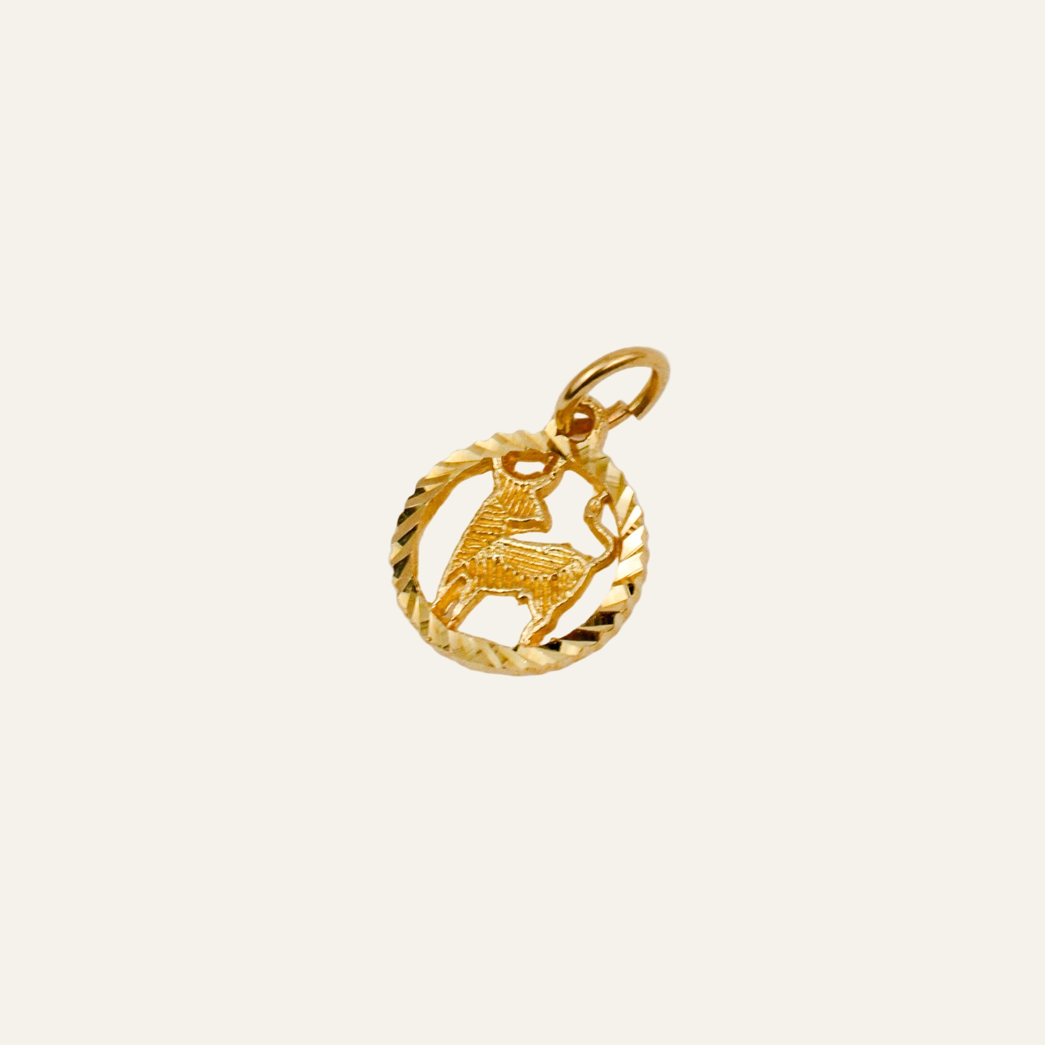 Capricorn Charm
