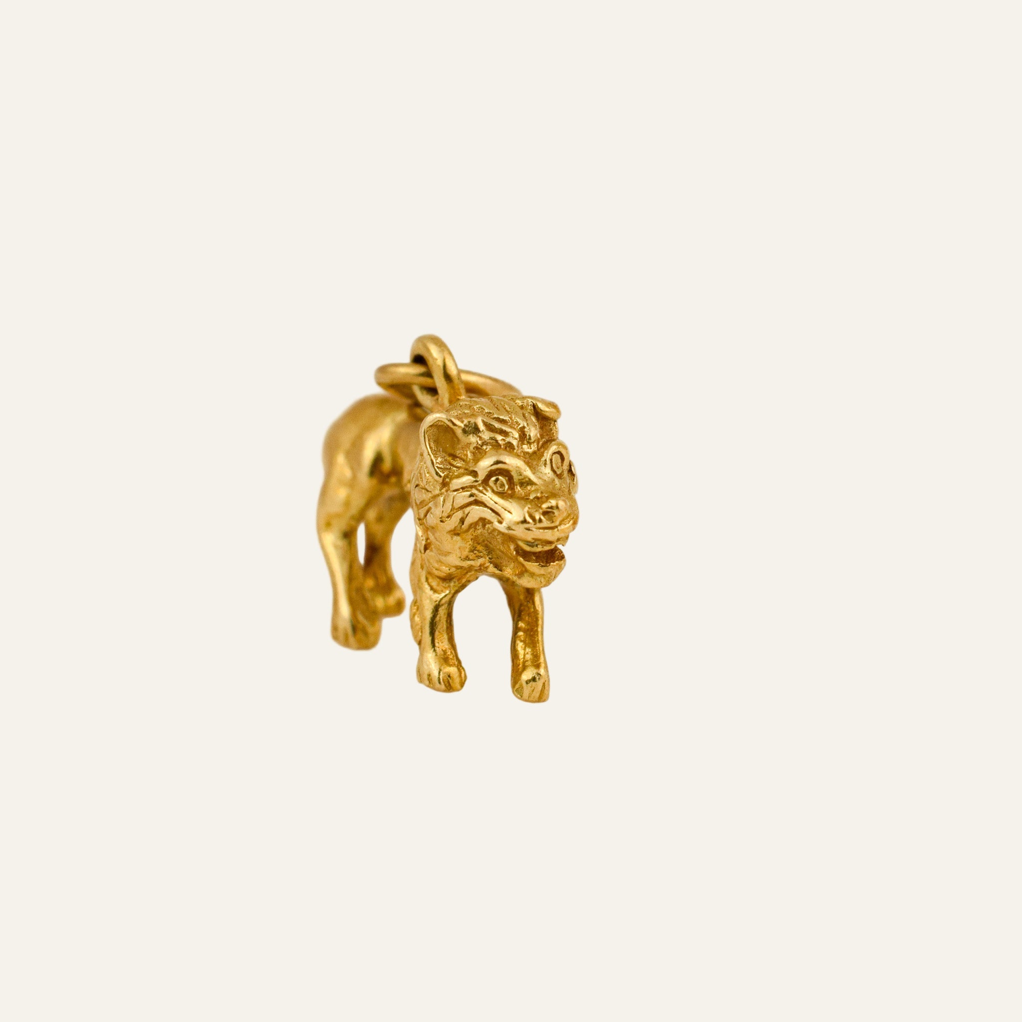 3-D Leo Charm