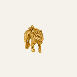 3-D Leo Charm