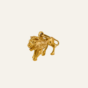 3-D Leo Charm