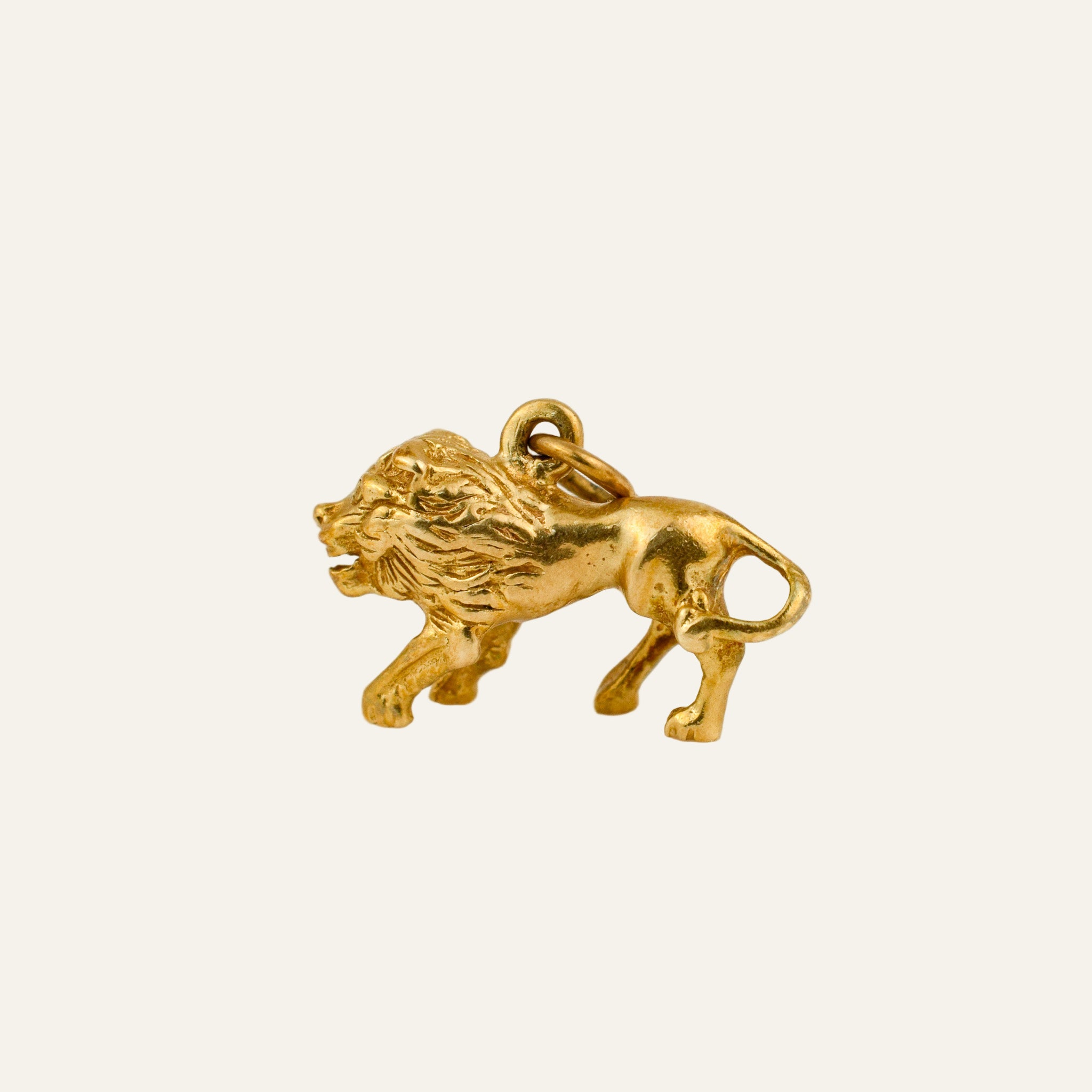 3-D Leo Charm