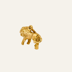3-D Leo Charm