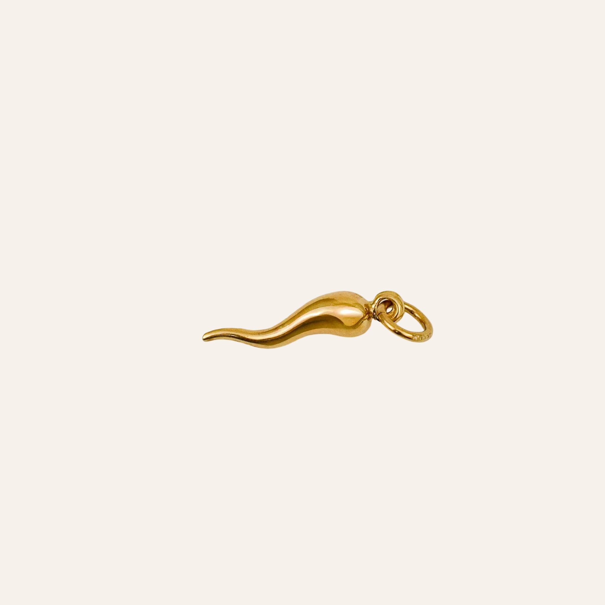 Cornicello Charm