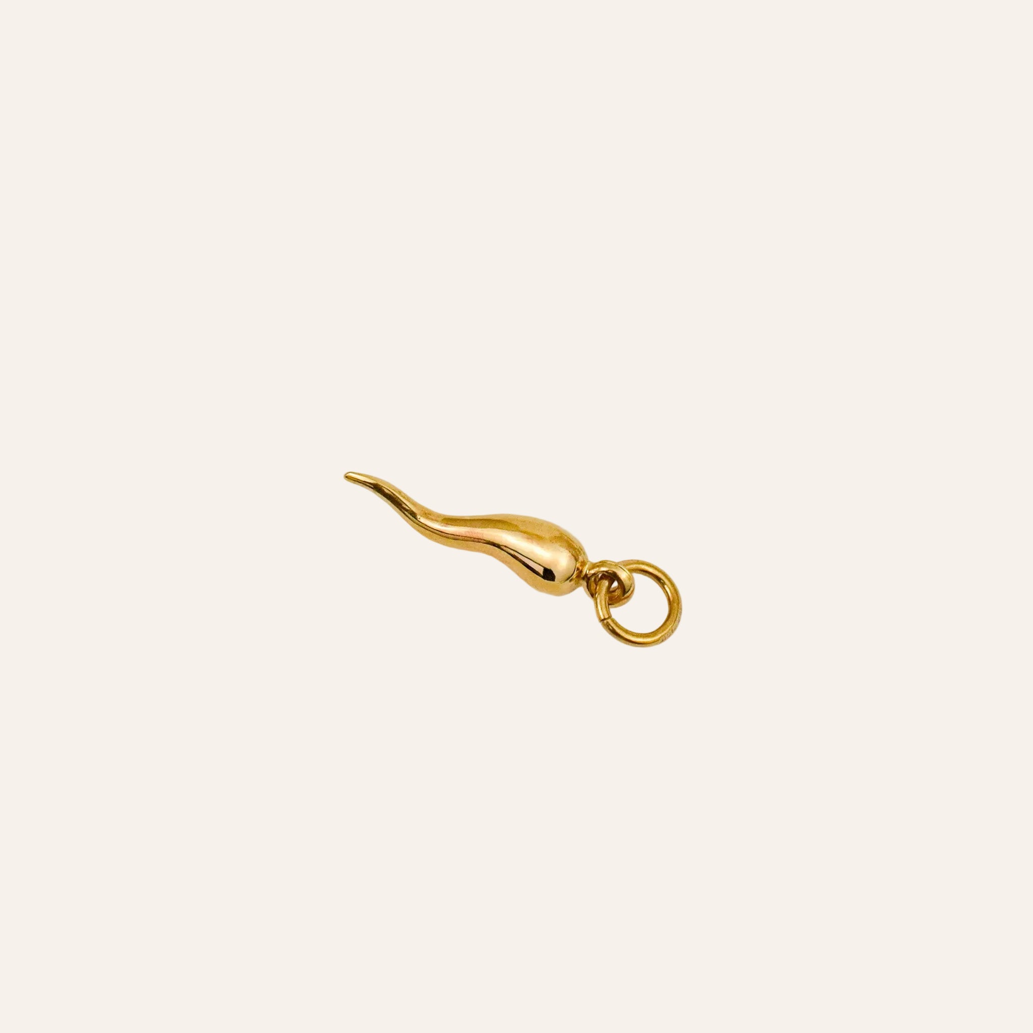 Cornicello Charm