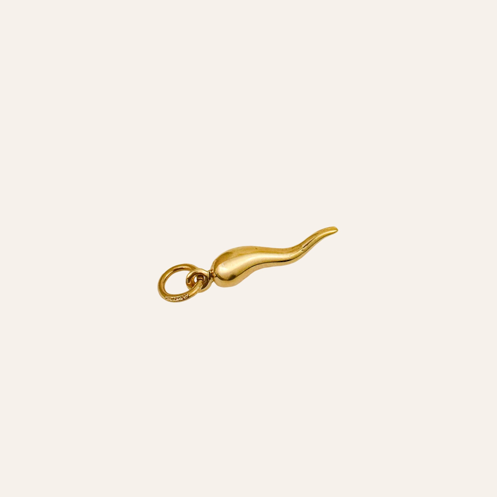 Cornicello Charm