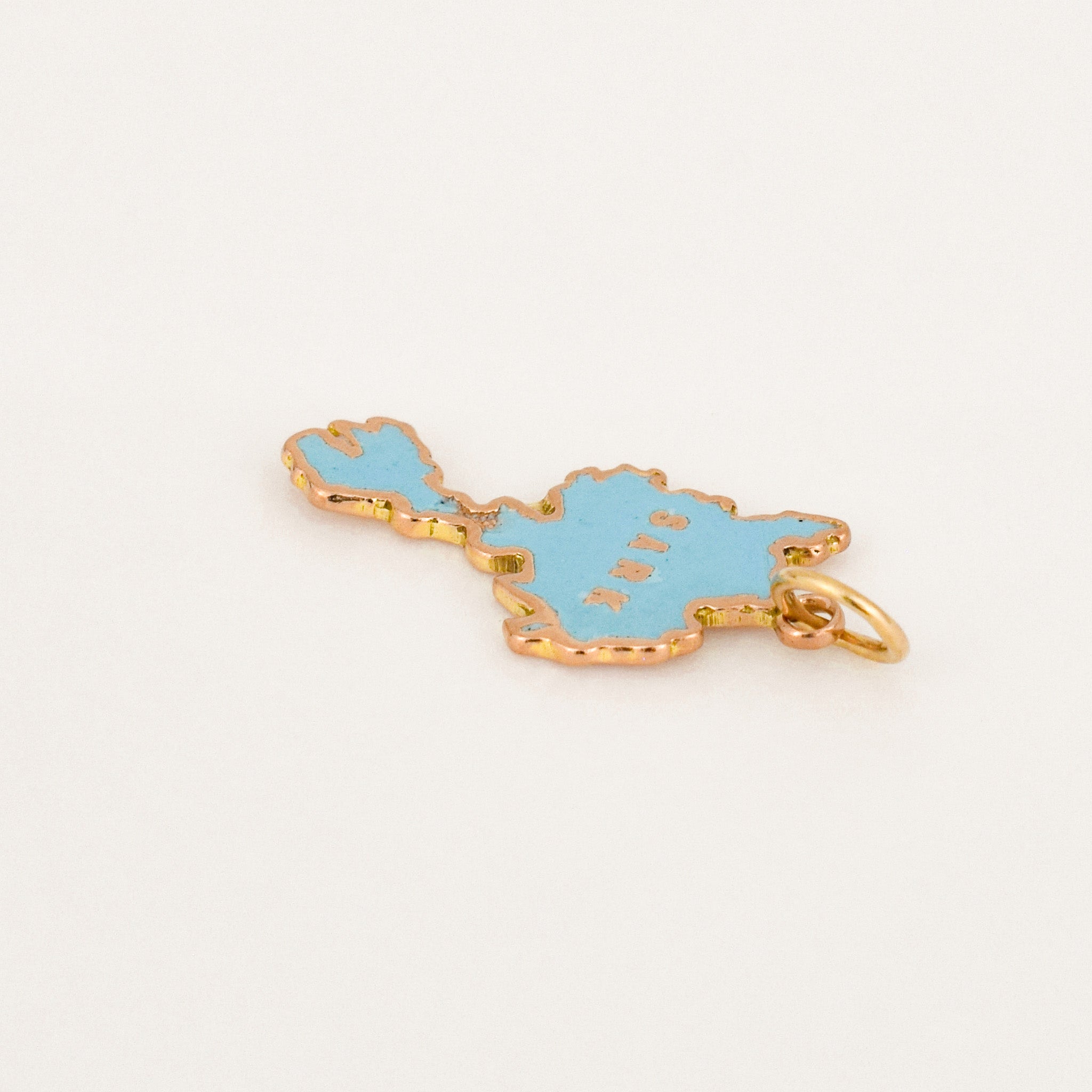 vintage Enamel Sark Charm 