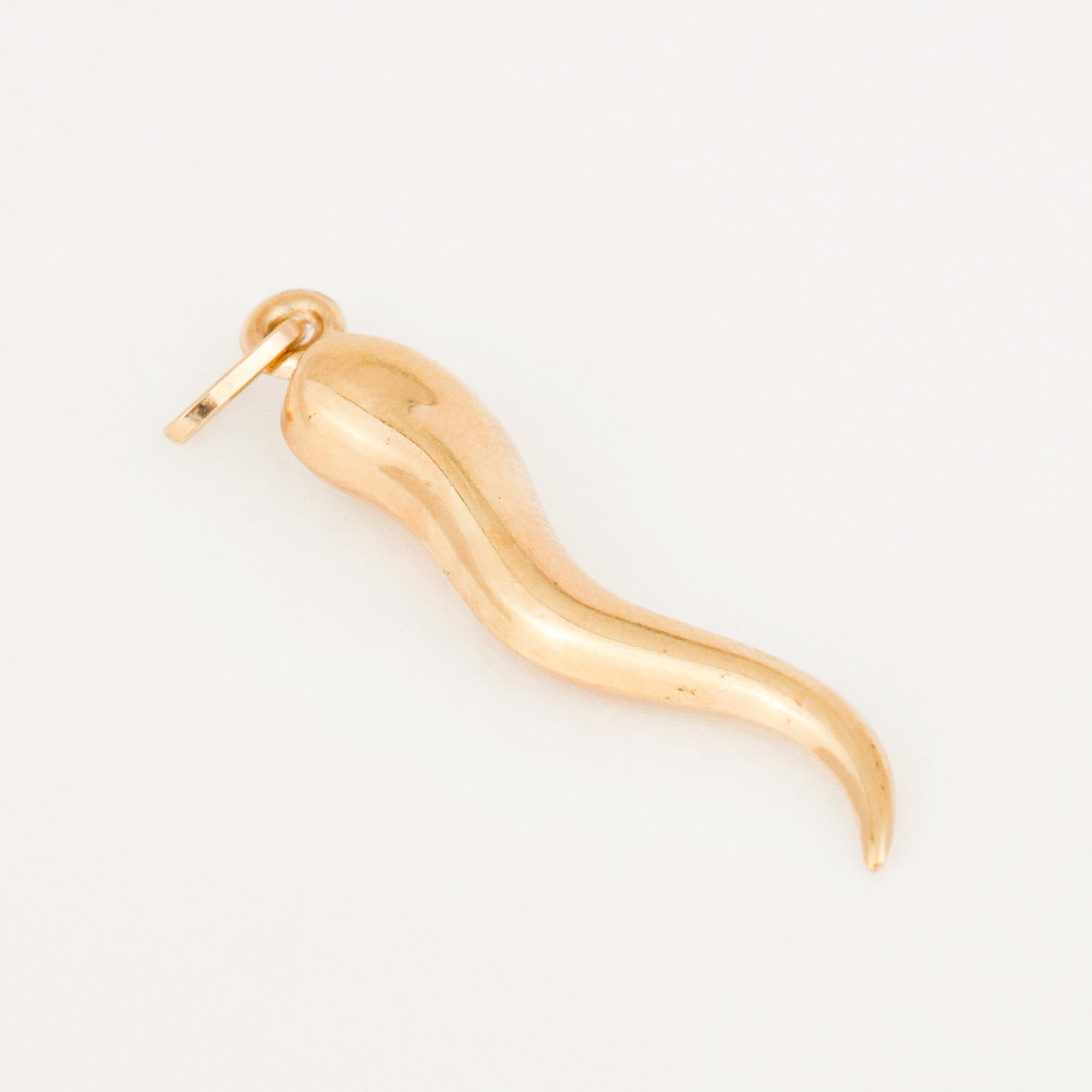 vintage Large Cornicello Pendant