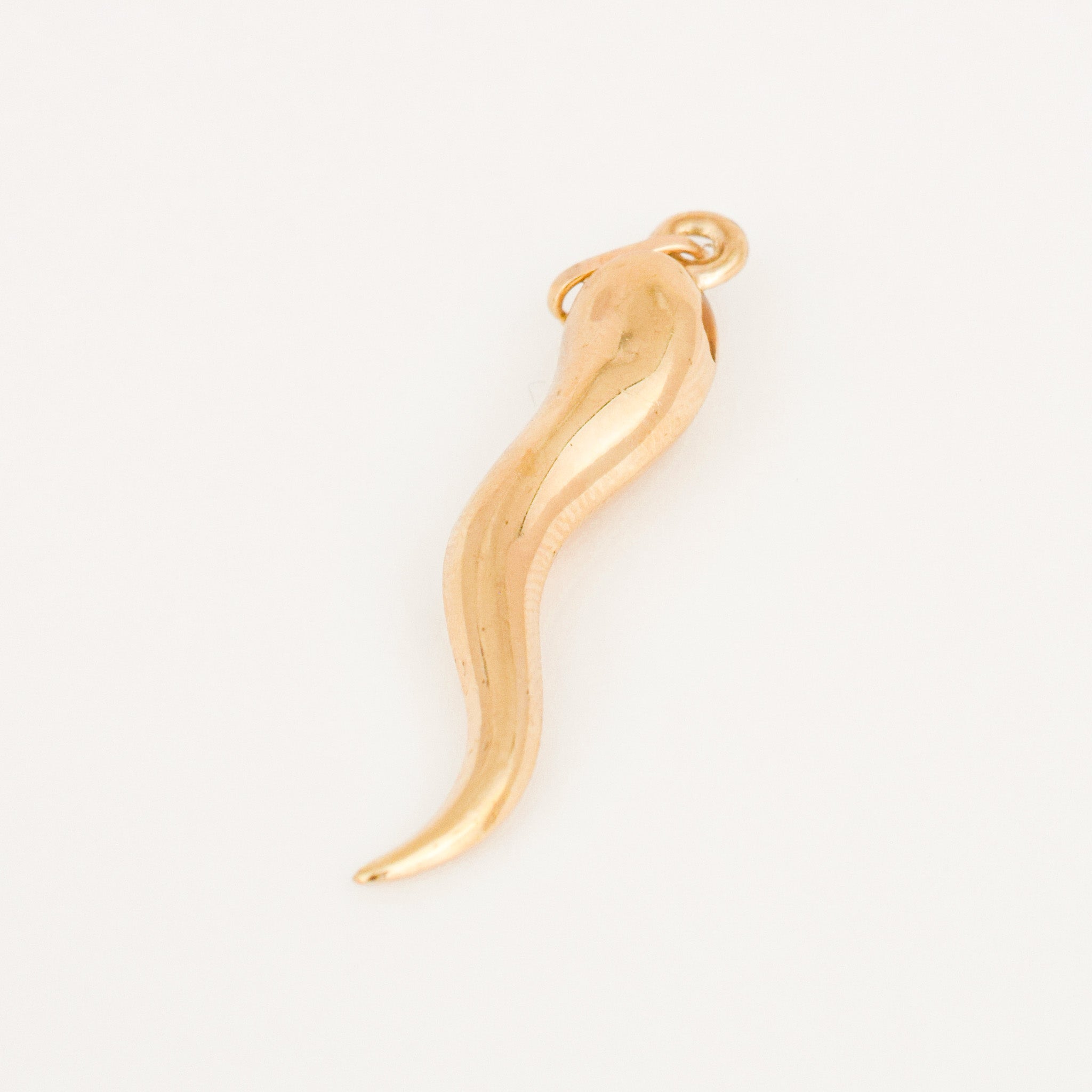 vintage Large Cornicello Pendant