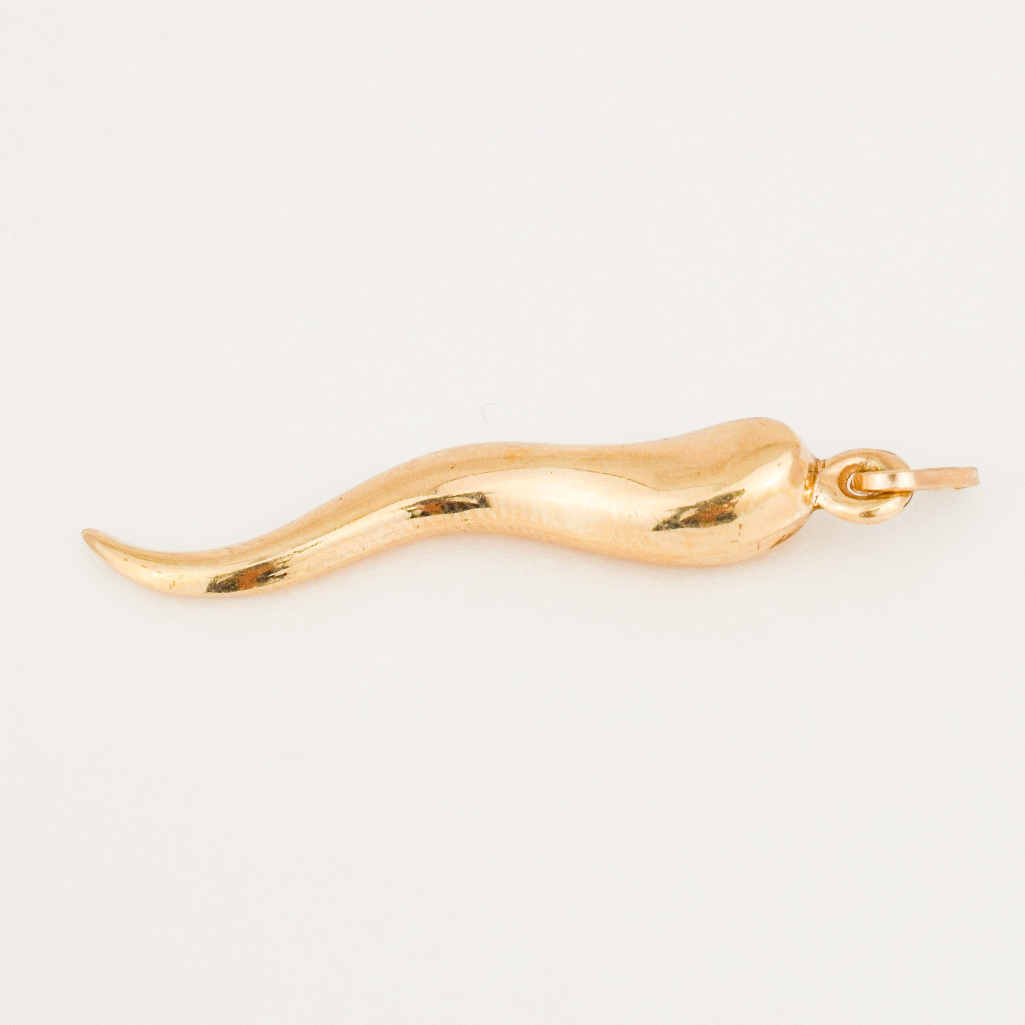vintage Large Cornicello Pendant