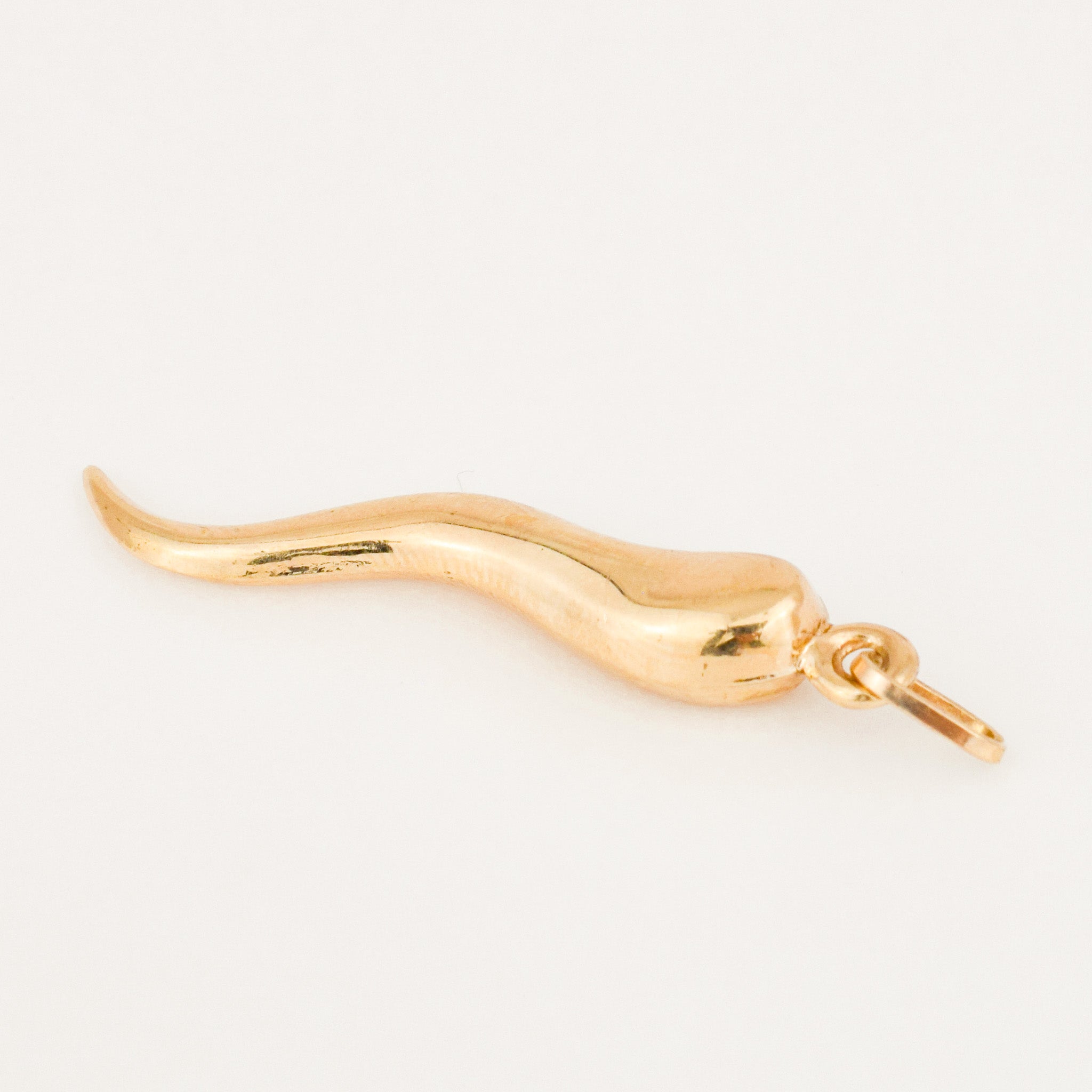 vintage Large Cornicello Pendant