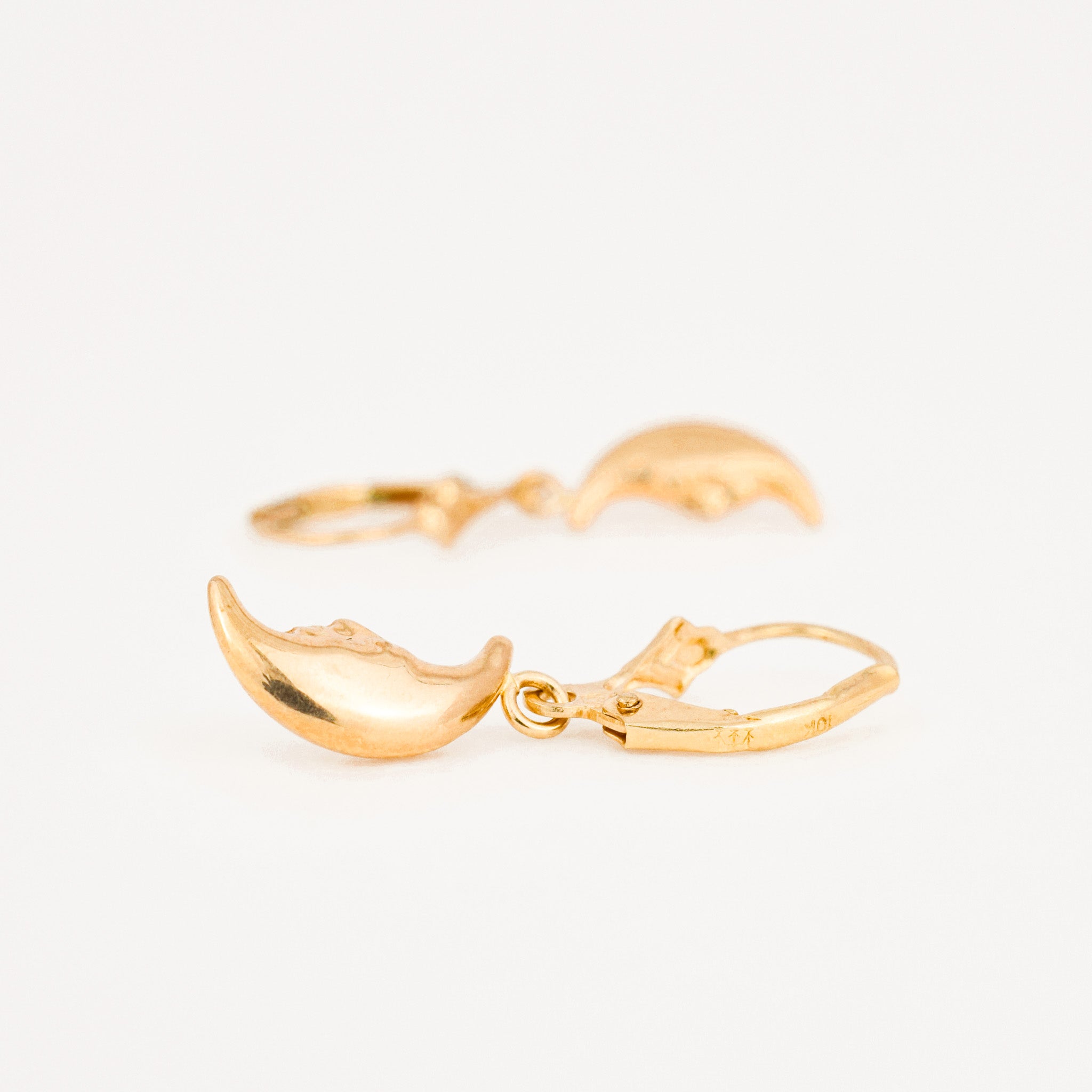 Drop Crescent Moon Earrings