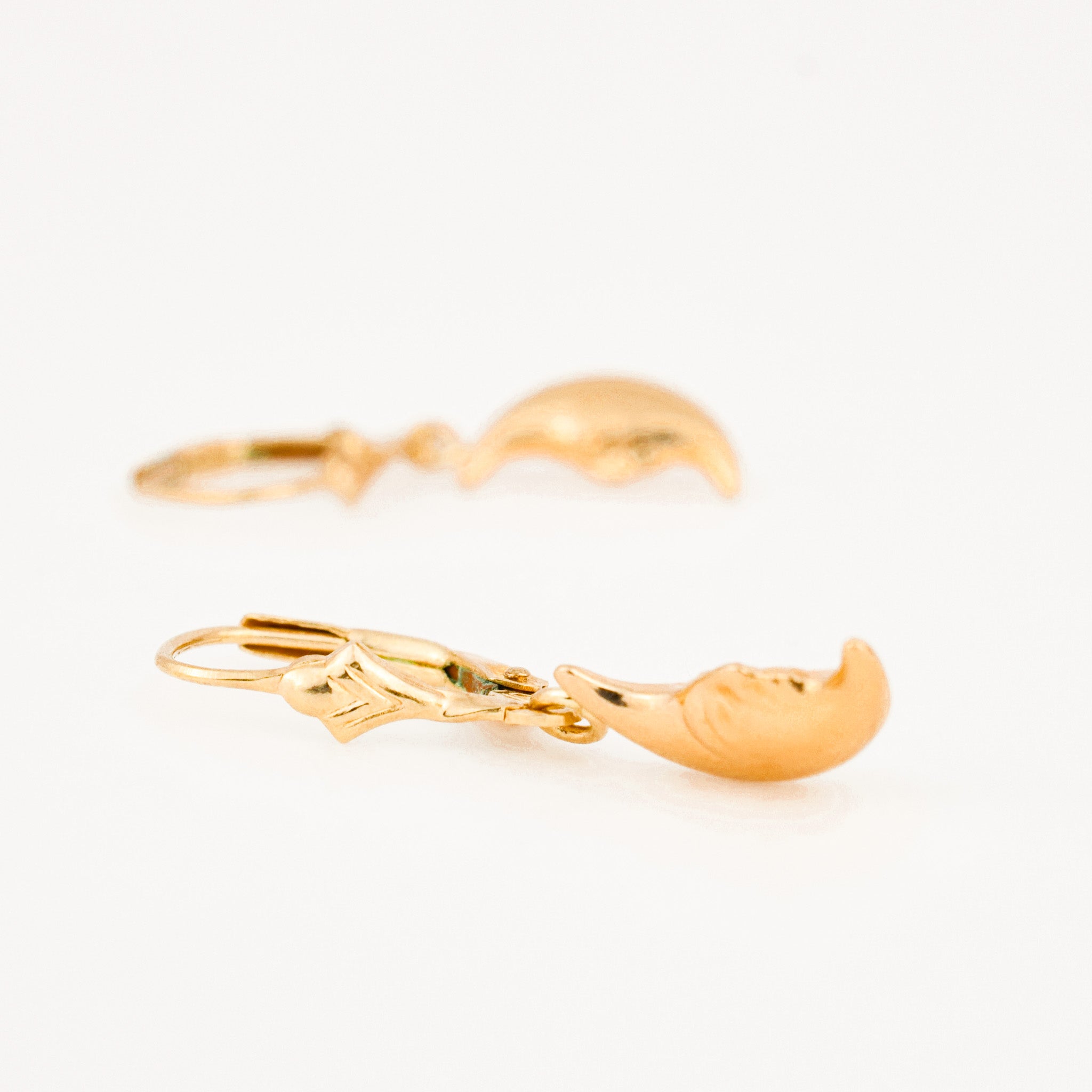 Drop Crescent Moon Earrings