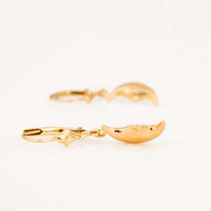 Drop Crescent Moon Earrings