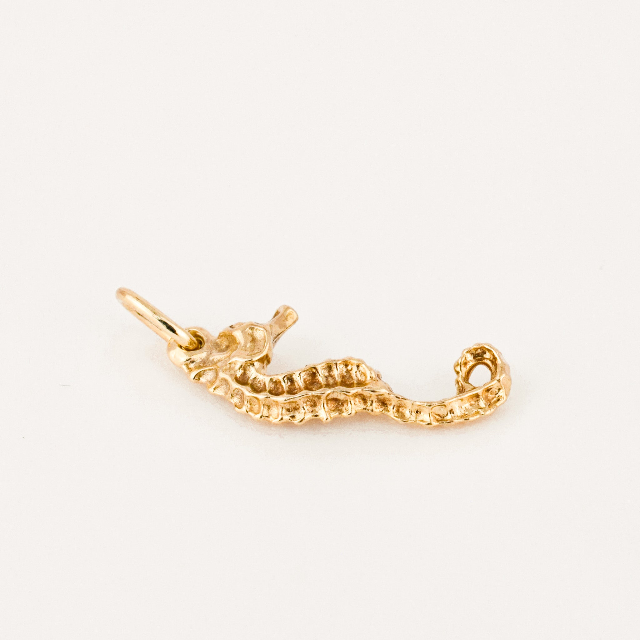 Sea Horse Charm
