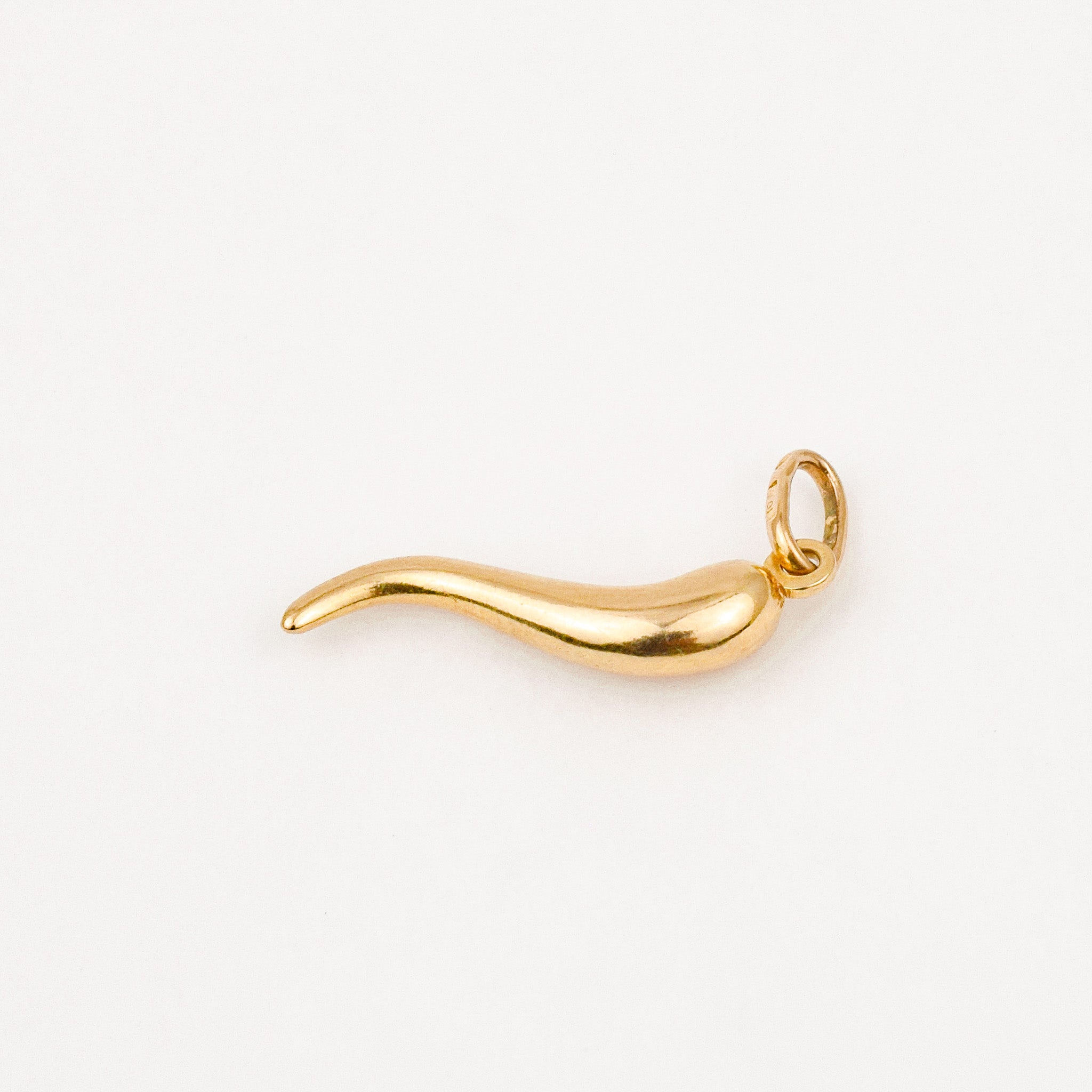 24 mm Cornicello Charm