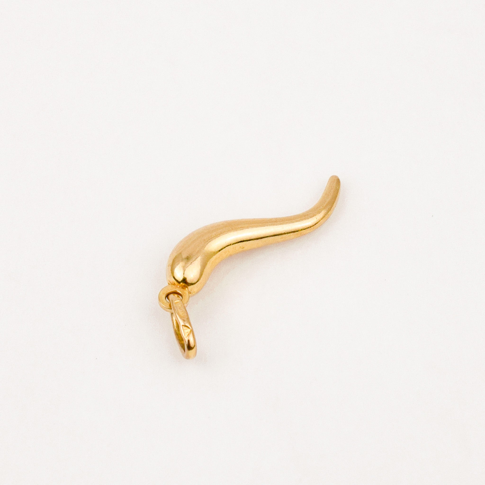 24 mm Cornicello Charm